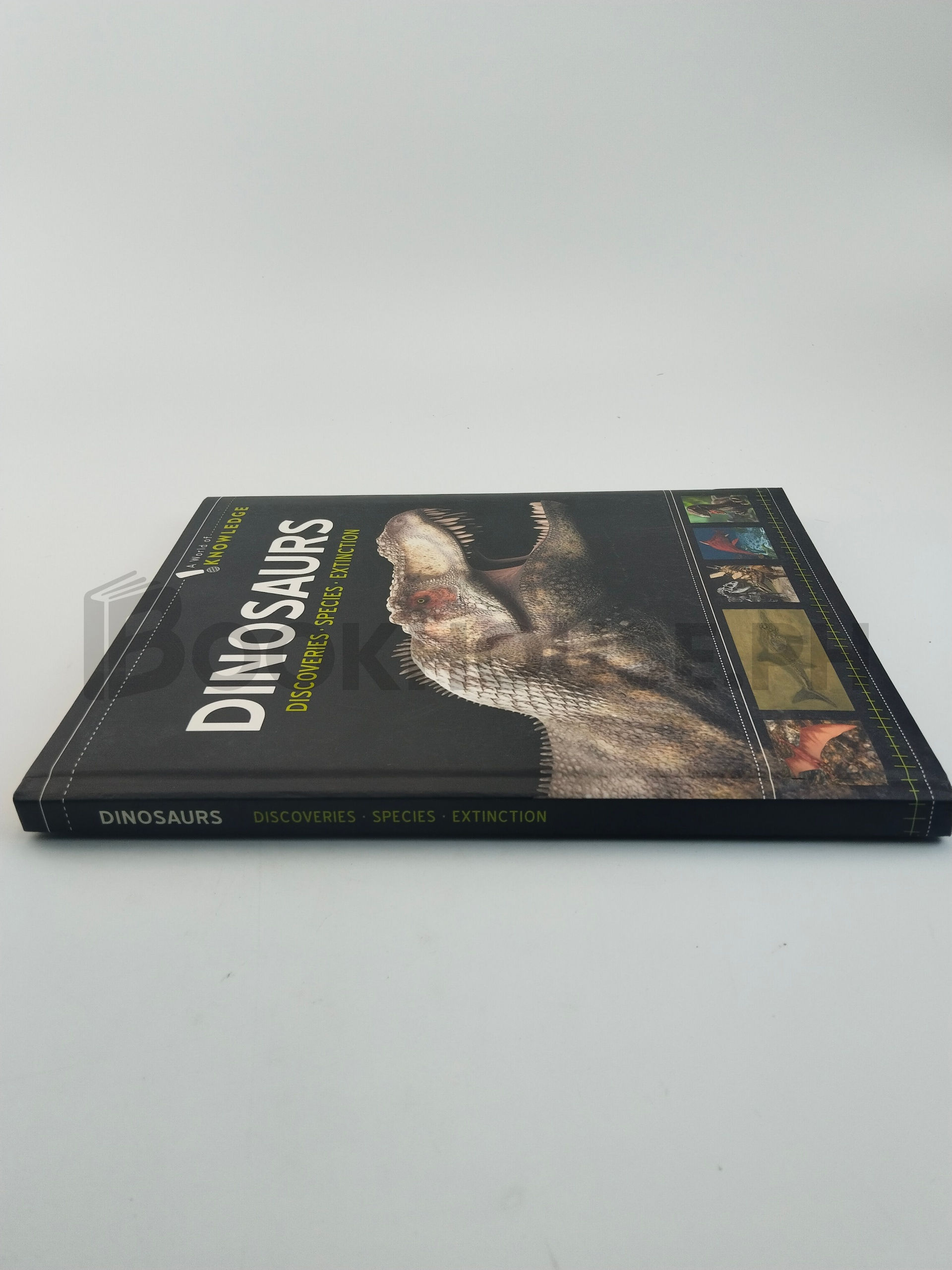 Dinosaurs by A World Of Knowledge - Image 3