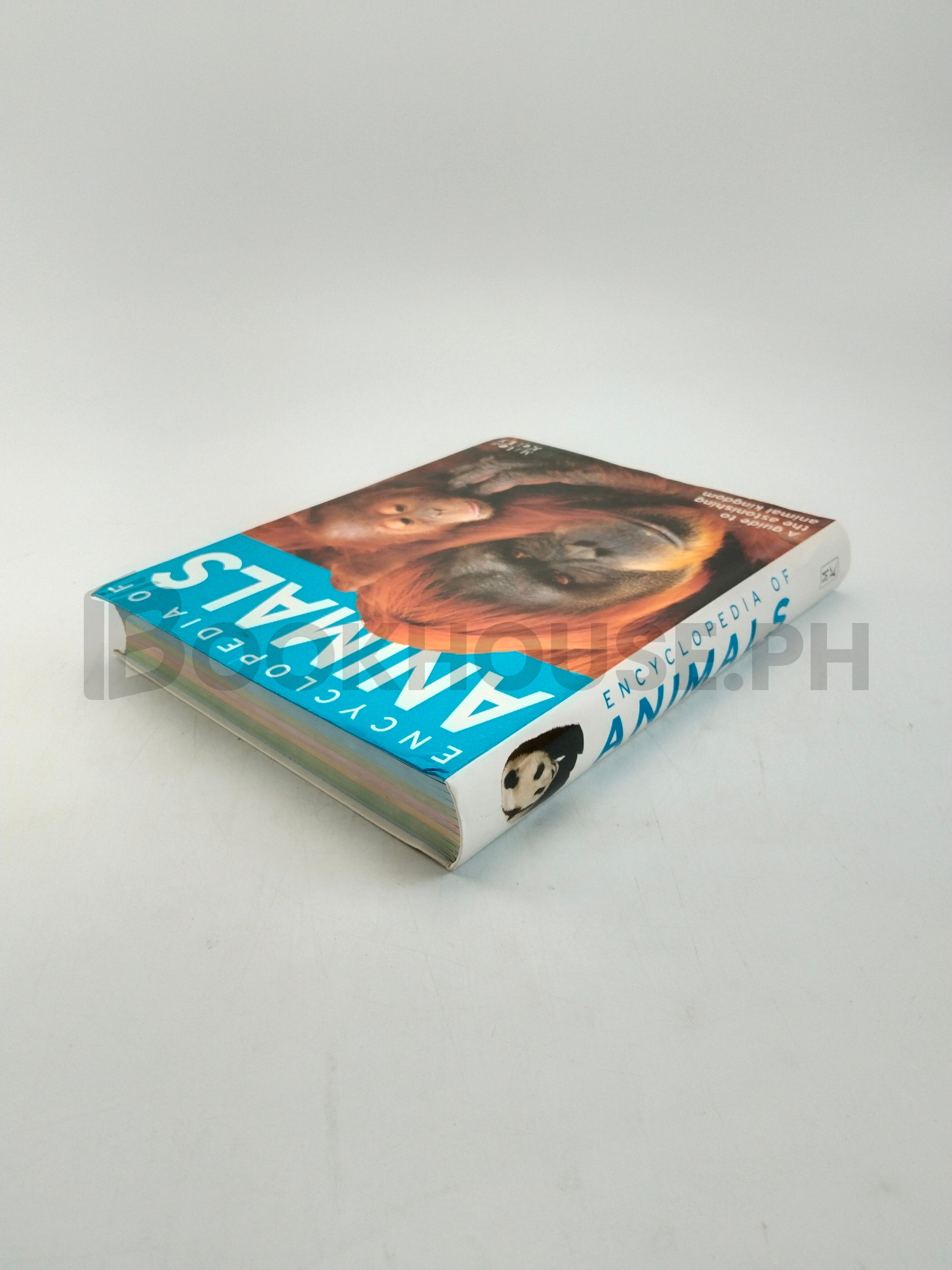 Encyclopedia Of Animals by Camilla De La Bédoyère - Image 2