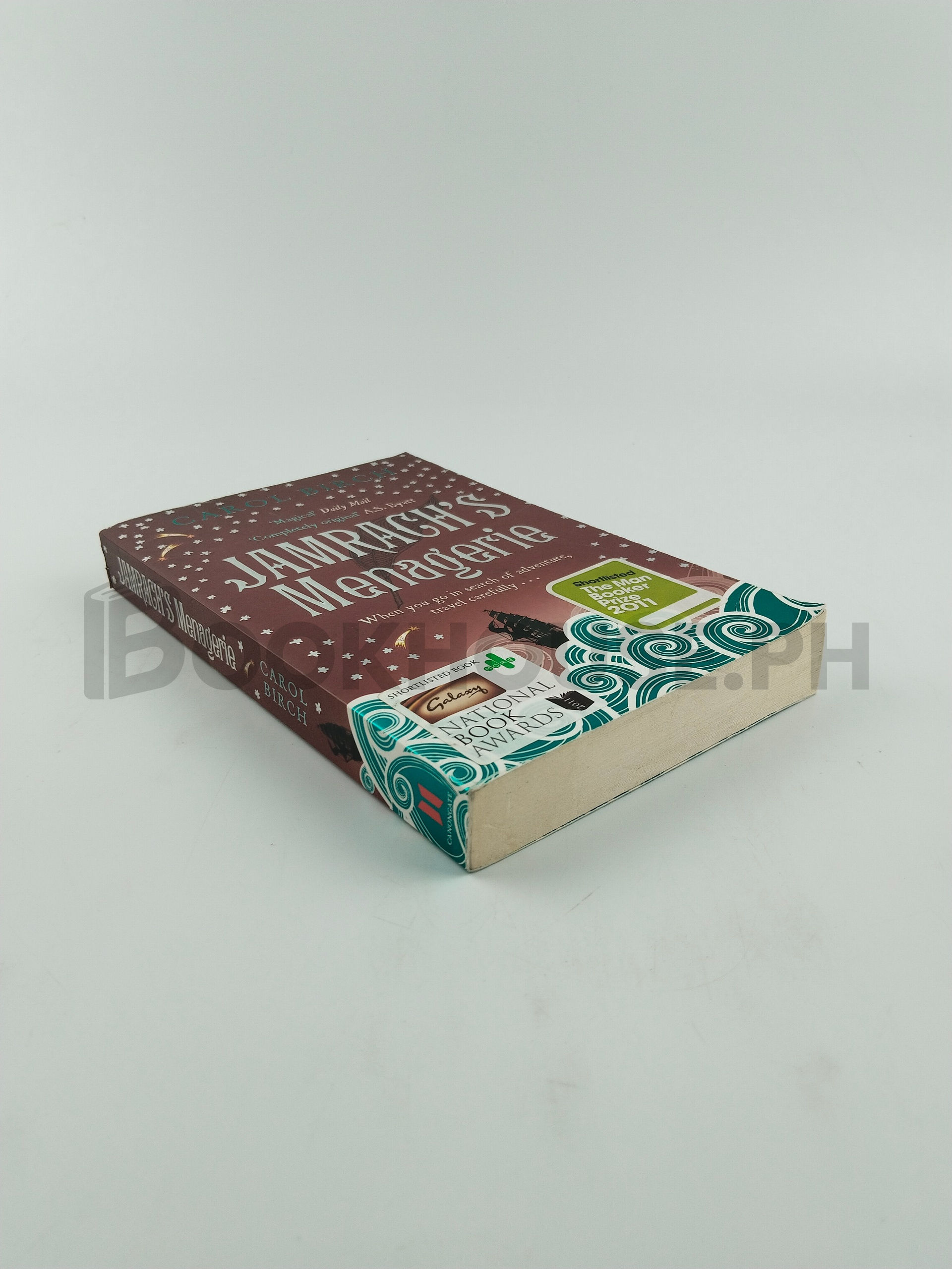 Jamrach's Menagerie by Carol Birch - Image 2