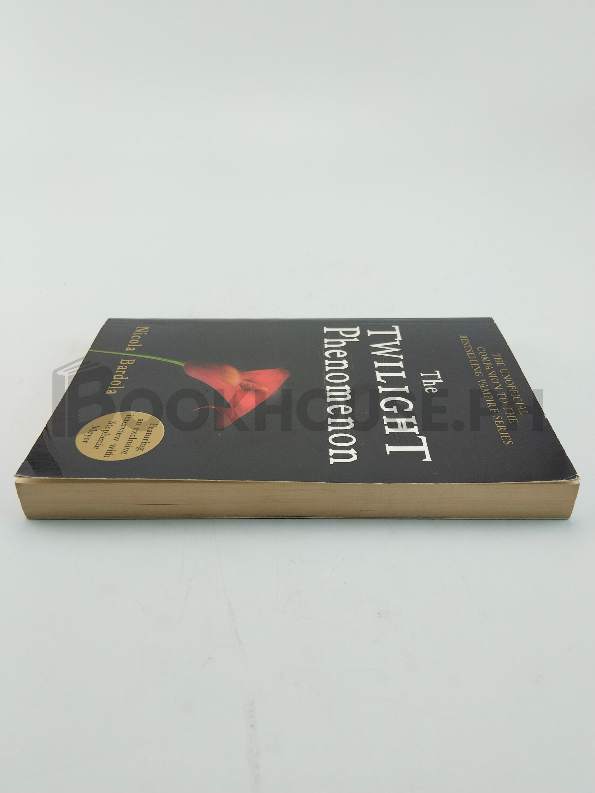 The Twilight Phenomenon by Nicola Bardola - Image 4