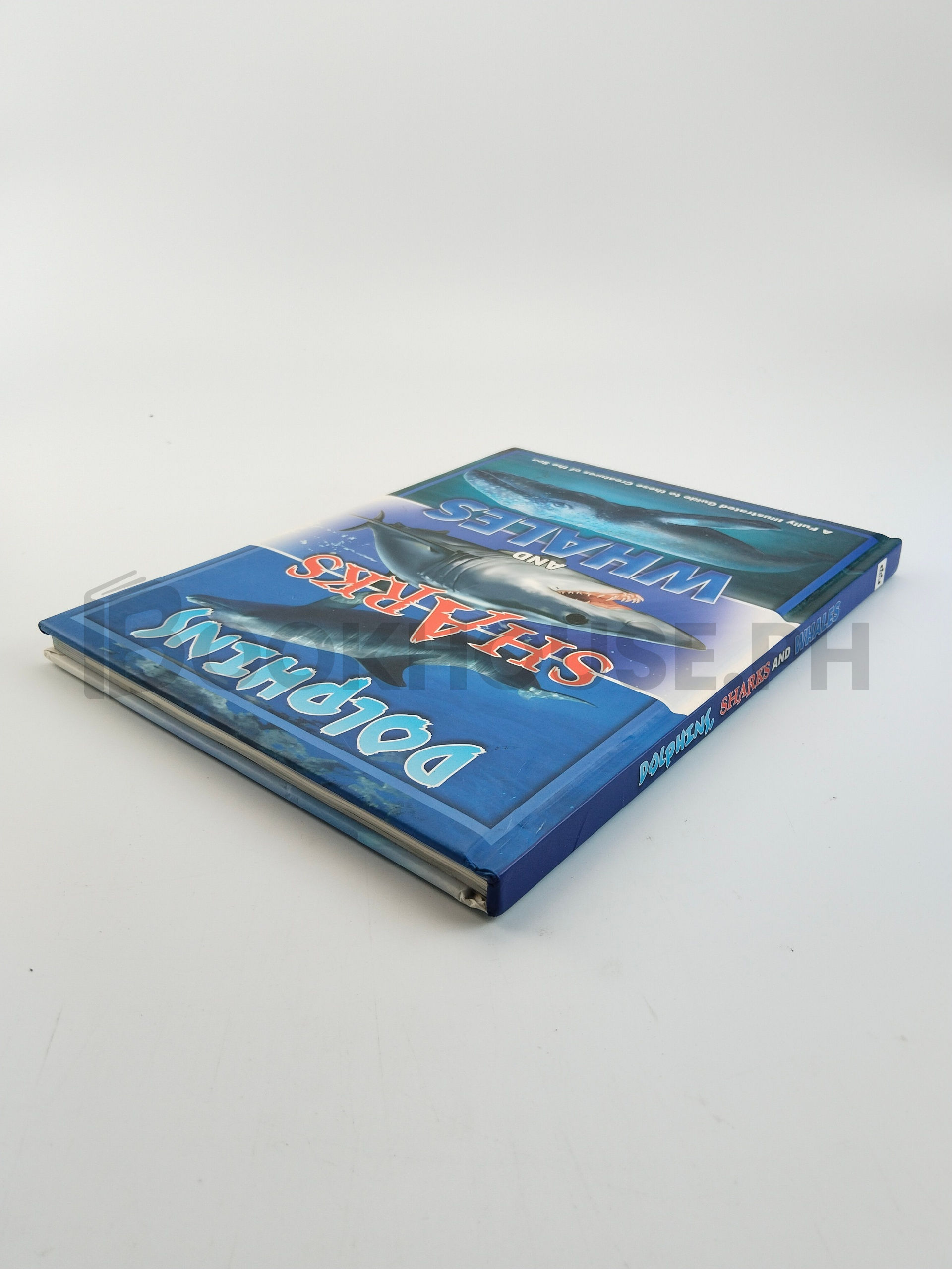 Encyclopedia Of Dolphins, Sharks And Whales by North Parade Publishing - Image 2