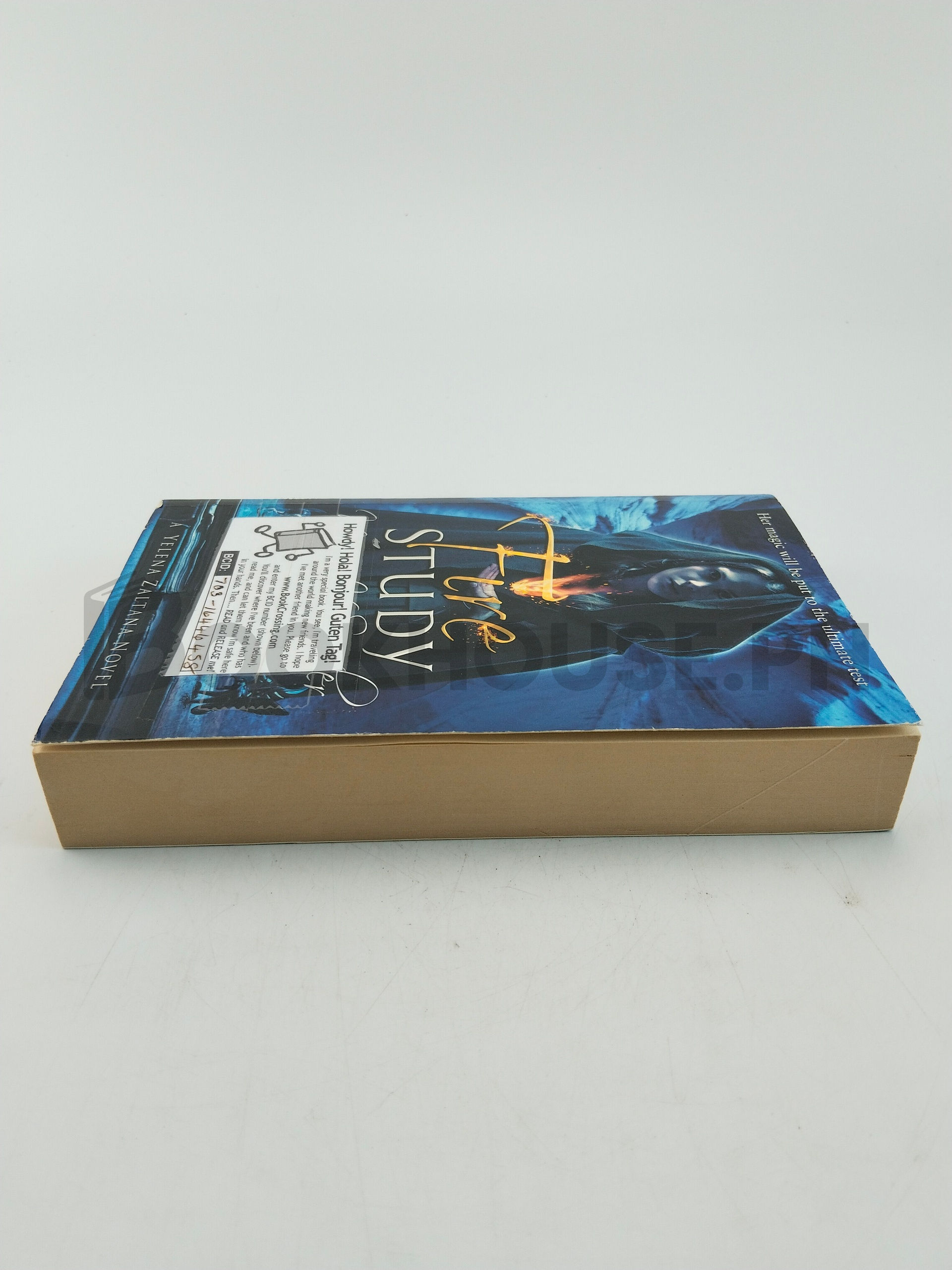 Fire Study by Maria V. Snyder - Image 4