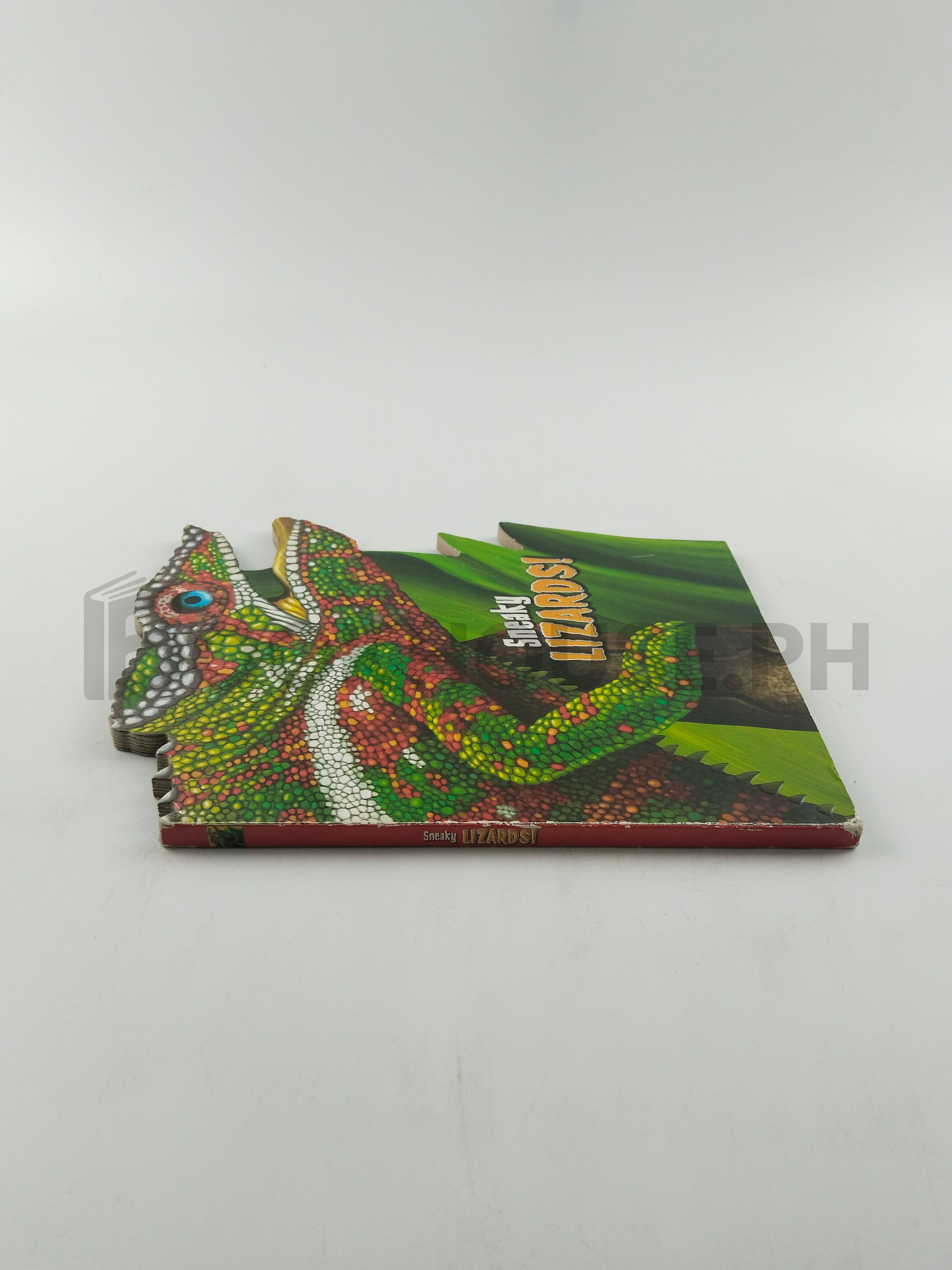 Sneaky Lizard by The Clever Factory Inc - Image 3