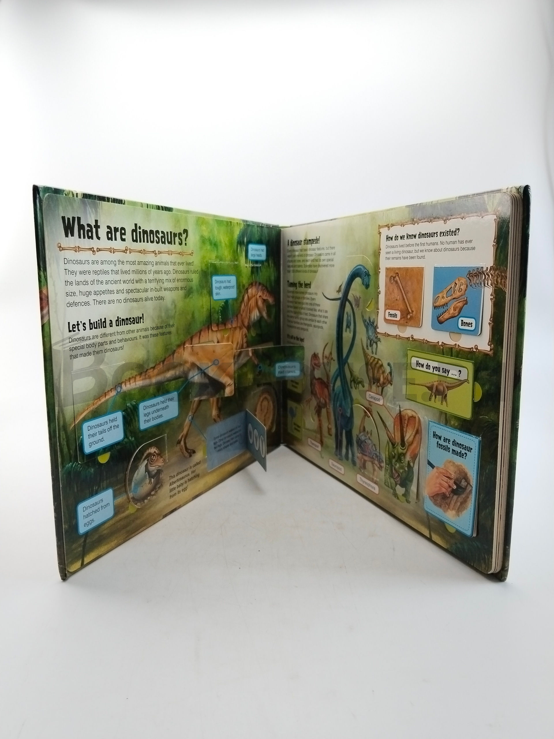 Dinosaurs by Niki Horin - Image 5