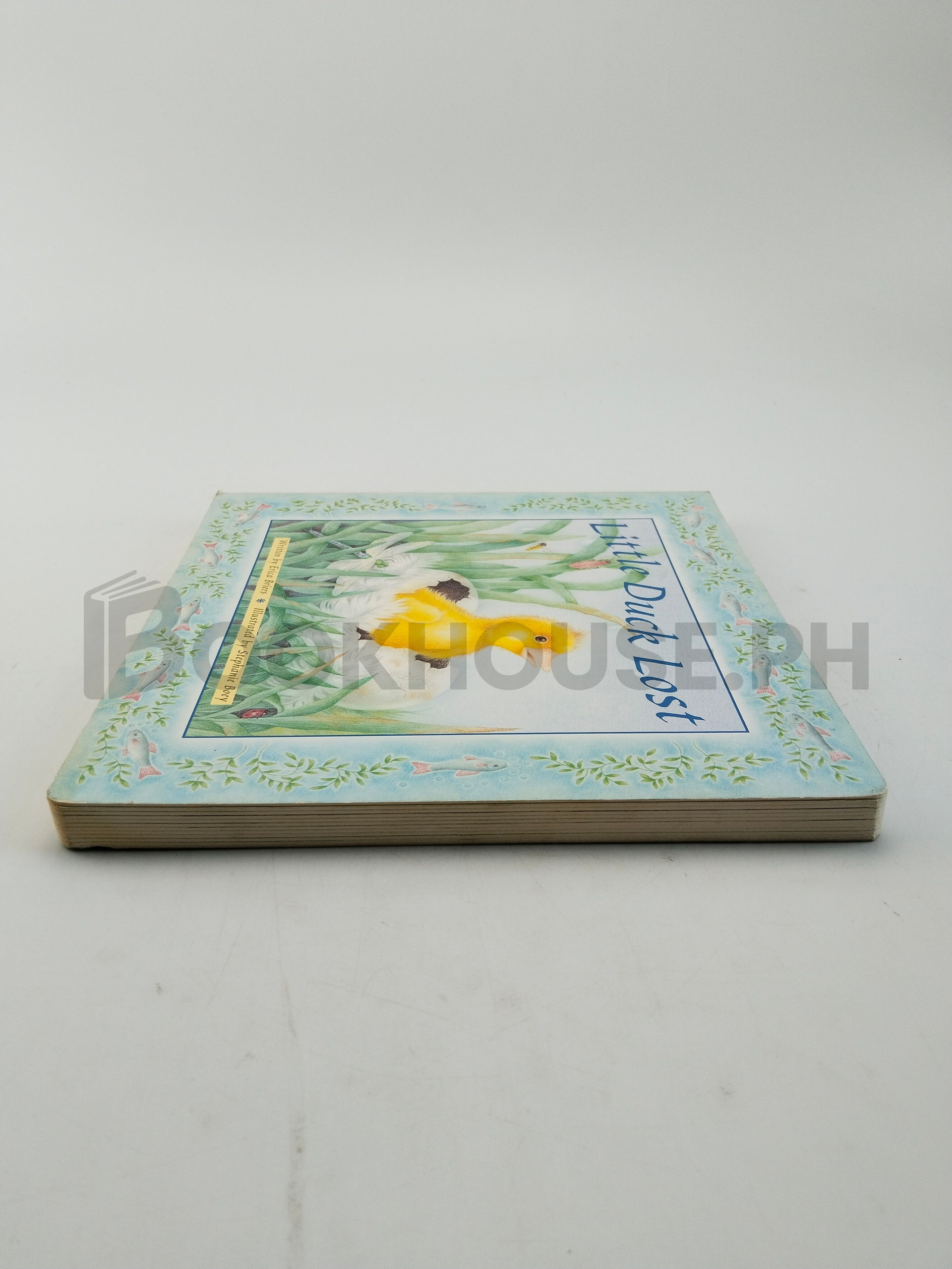 Little Duck Lost by Erica Briers - Image 4