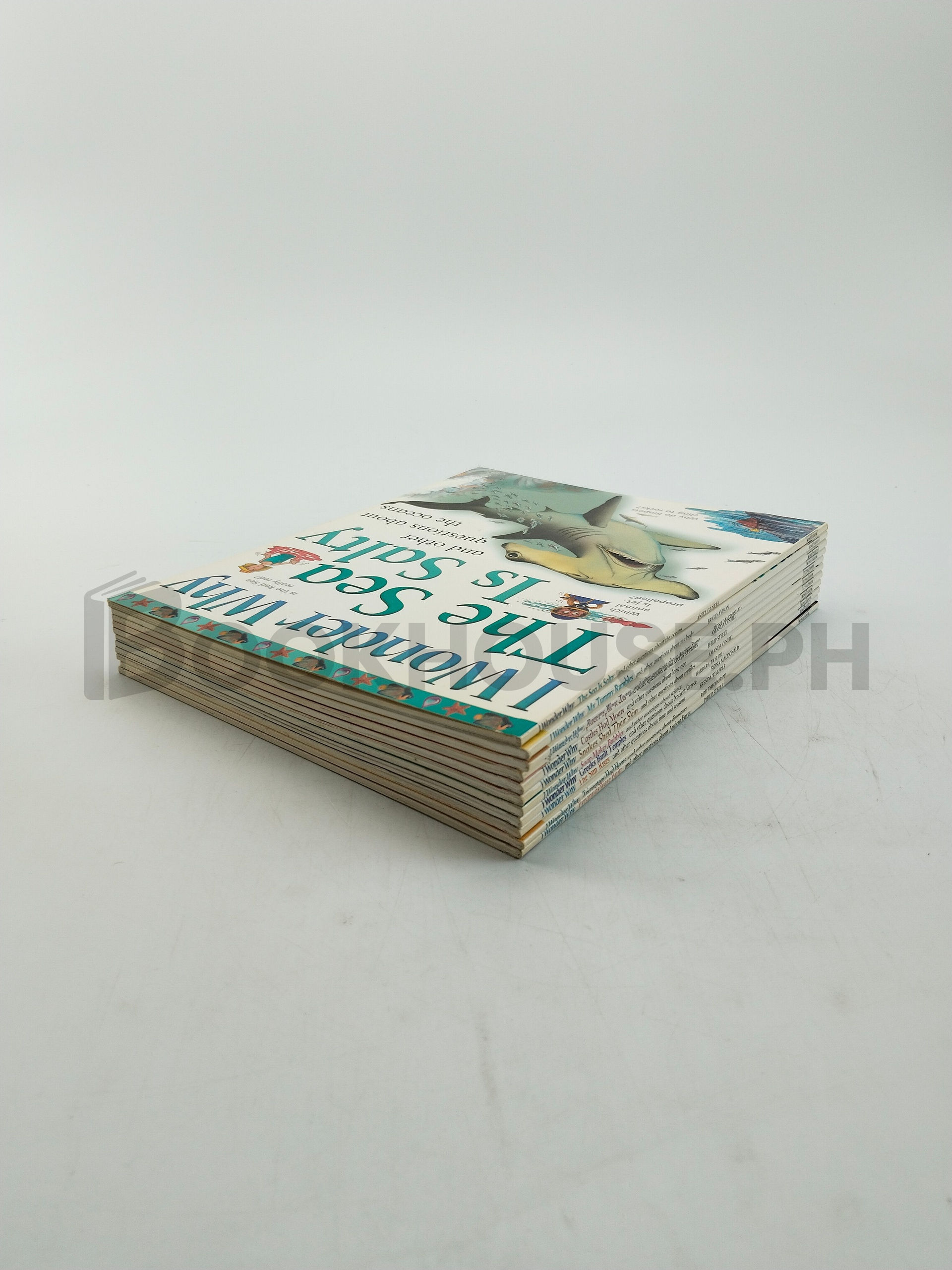 I Wonder Why by Kingfisher - Image 2