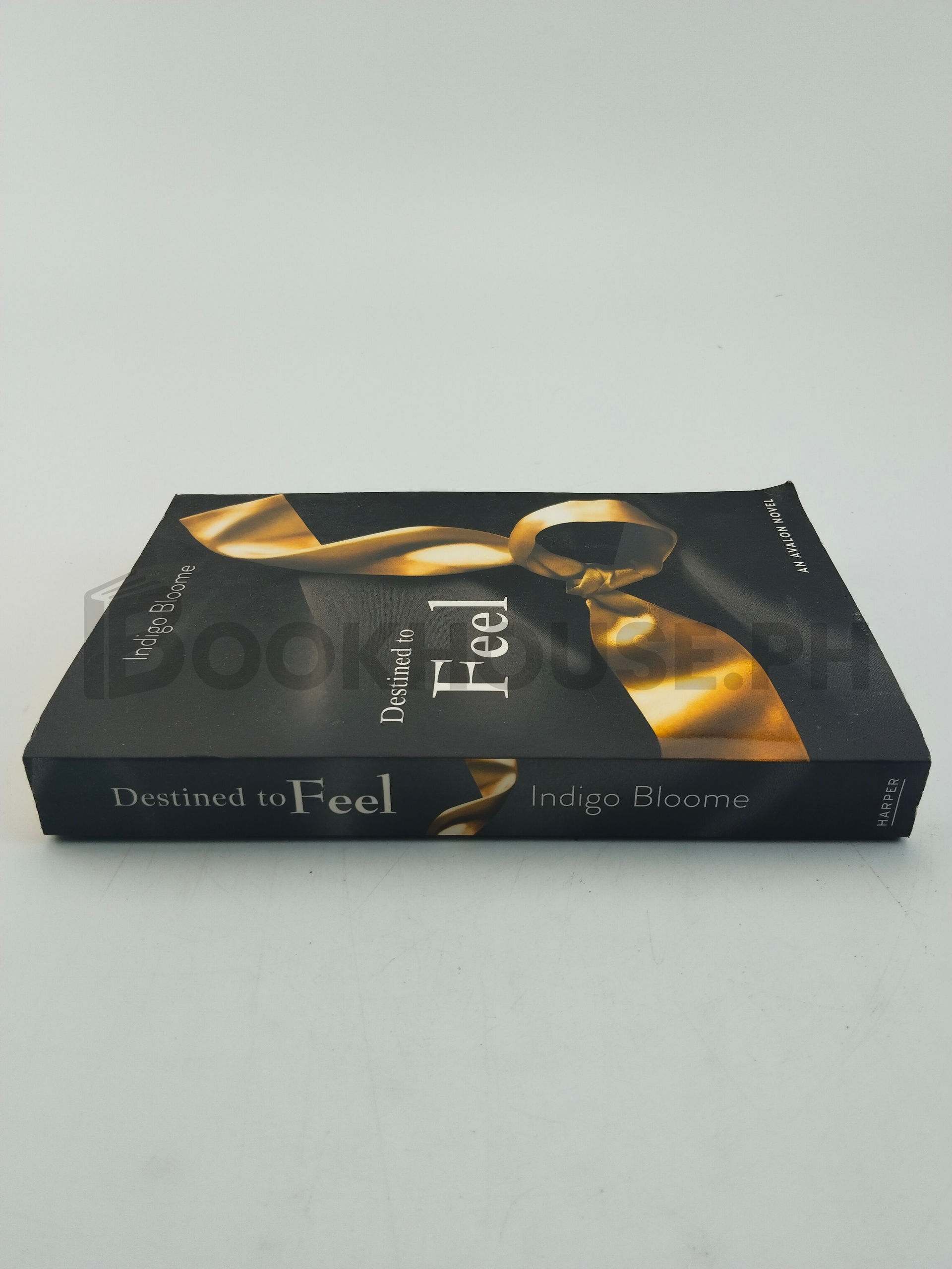 Destined To Feel by Indigo Bloome - Image 3