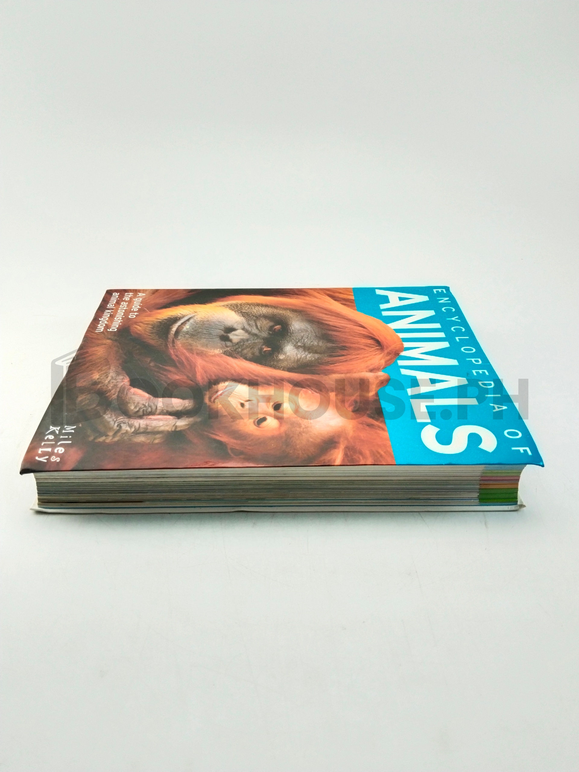 Encyclopedia Of Animals by Camilla De La Bédoyère - Image 4