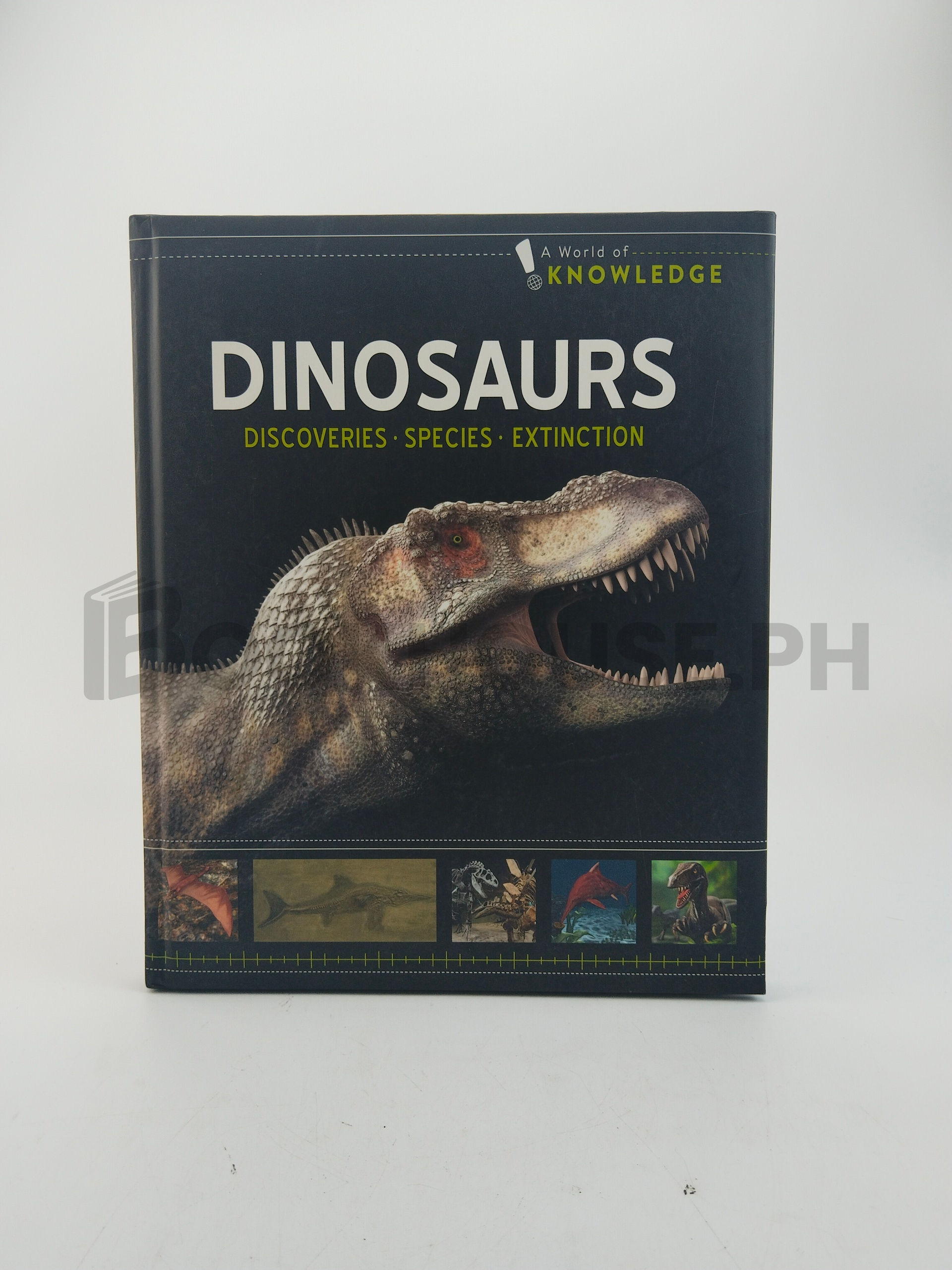 Dinosaurs by A World Of Knowledge
