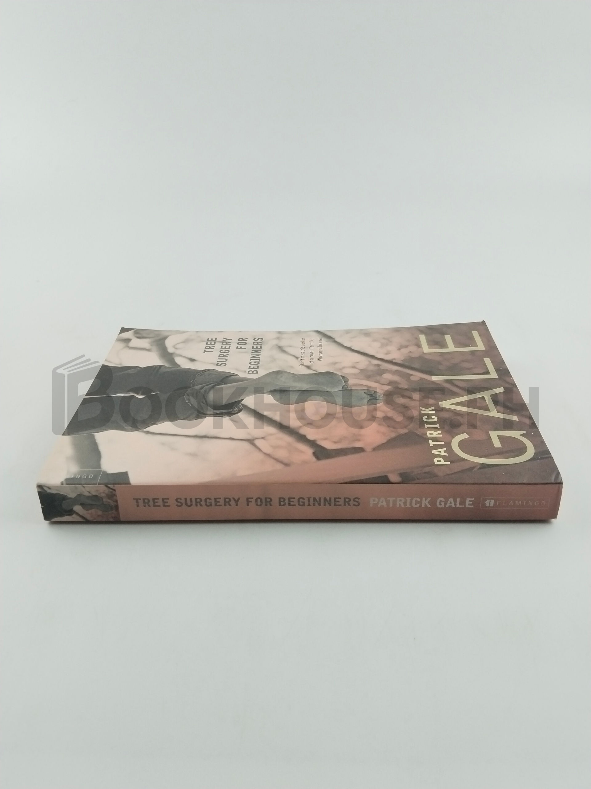 Tree Surgery For Beginners by Patrick Gale - Image 3