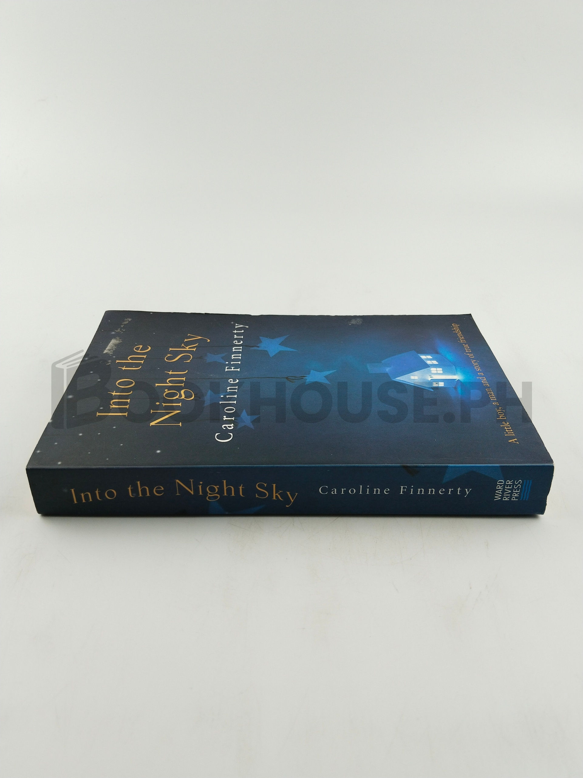 Into The Night Sky by Caroline Finnerty - Image 3