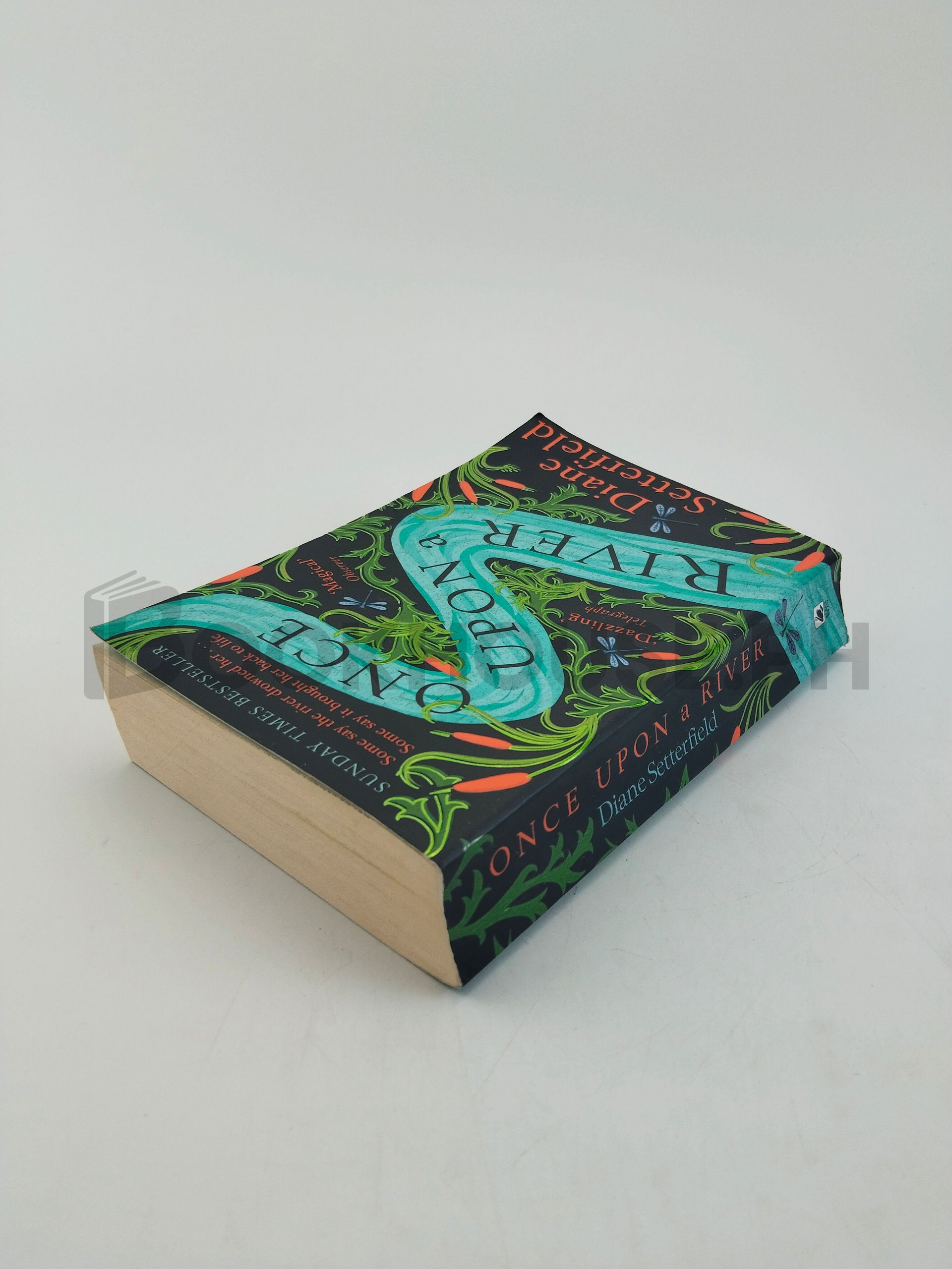 Once Upon A River by Diane Setterfield - Image 2