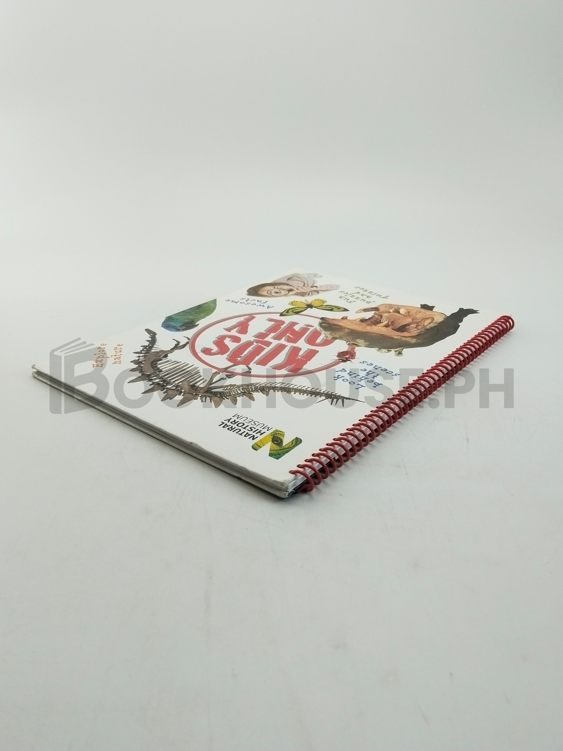 Kids Only by Miranda Macquitty - Image 2