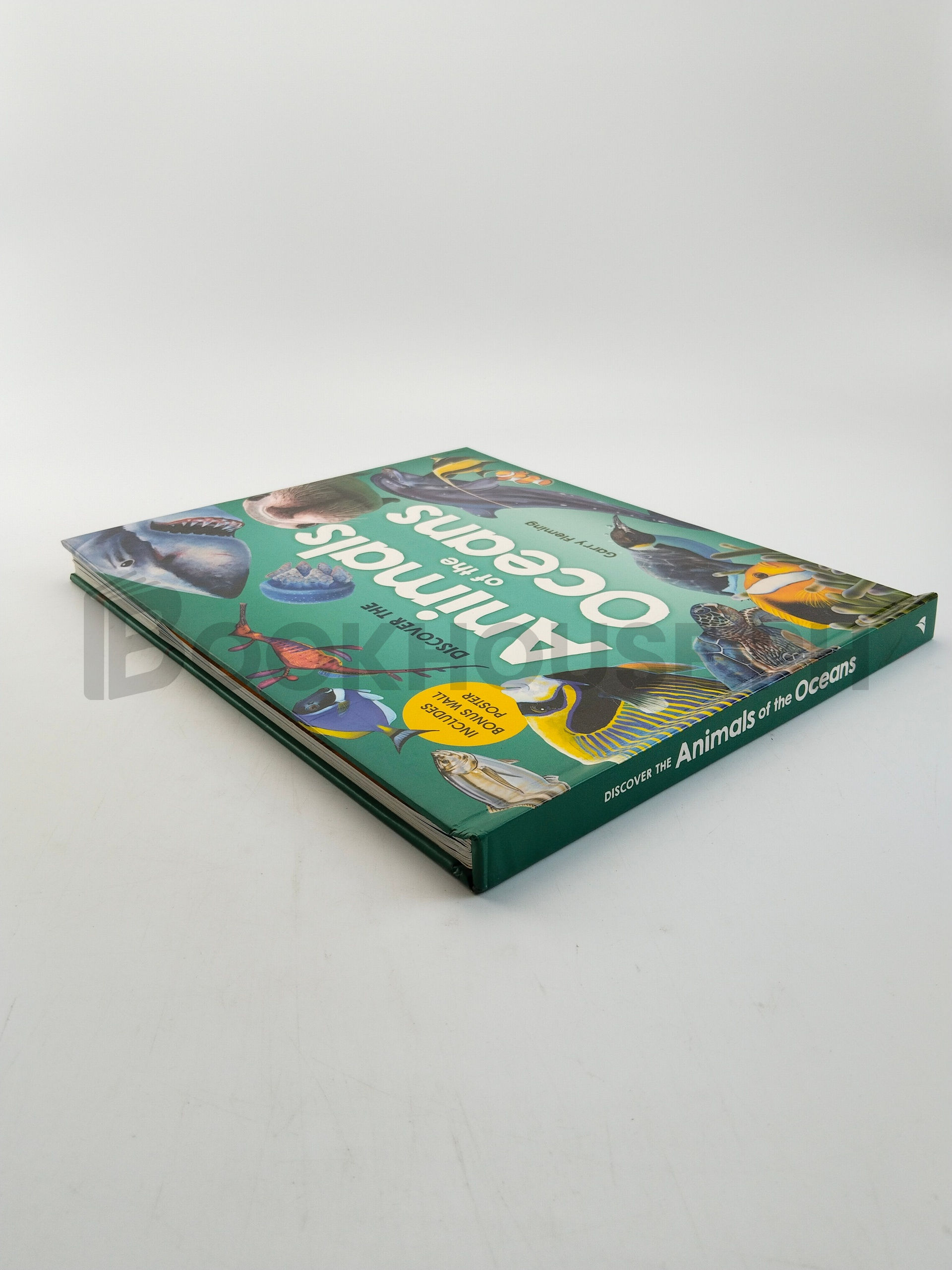 Discover The Animals Of The Ocean by Garry Fleming - Image 2