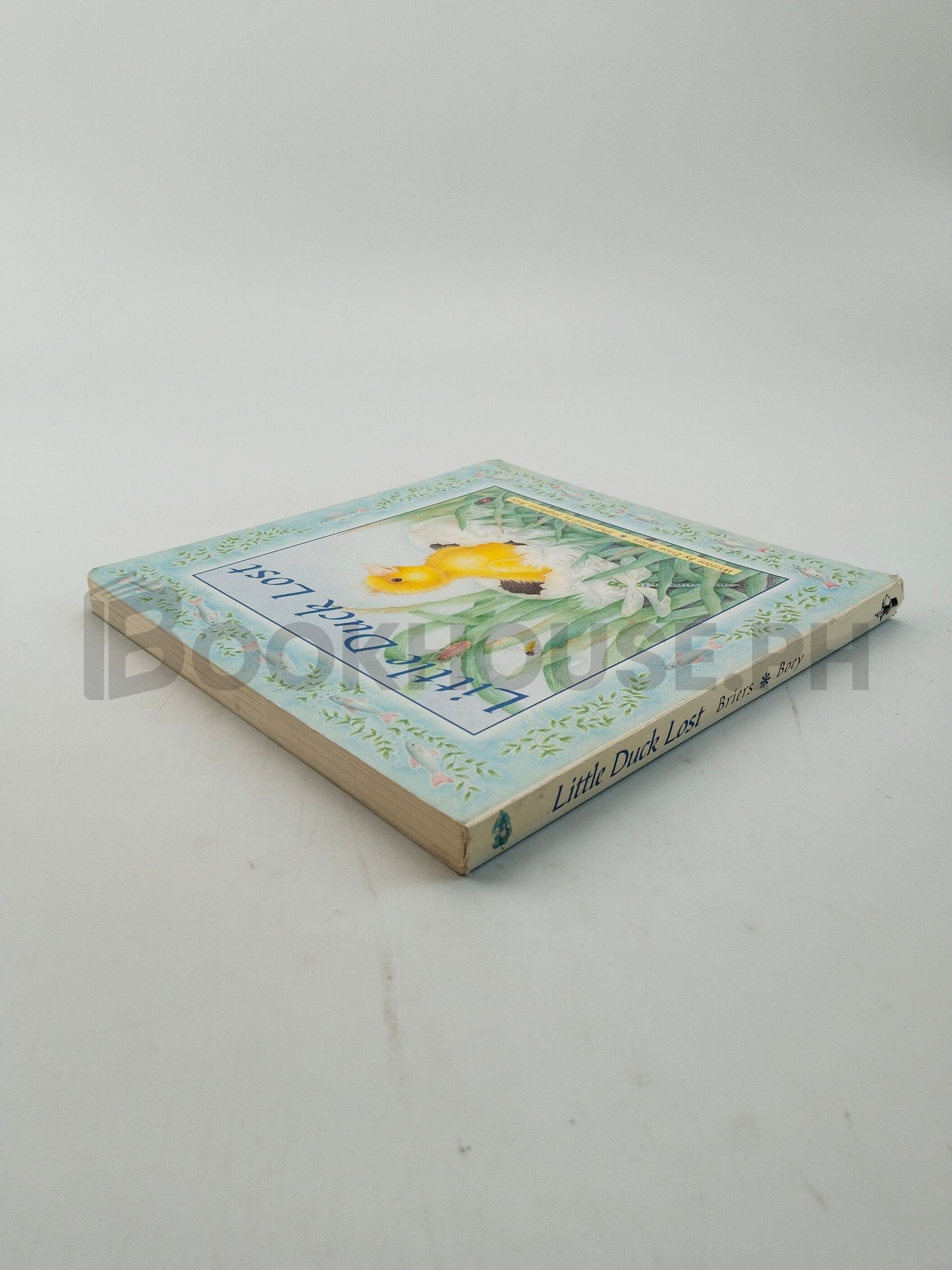 Little Duck Lost by Erica Briers - Image 2