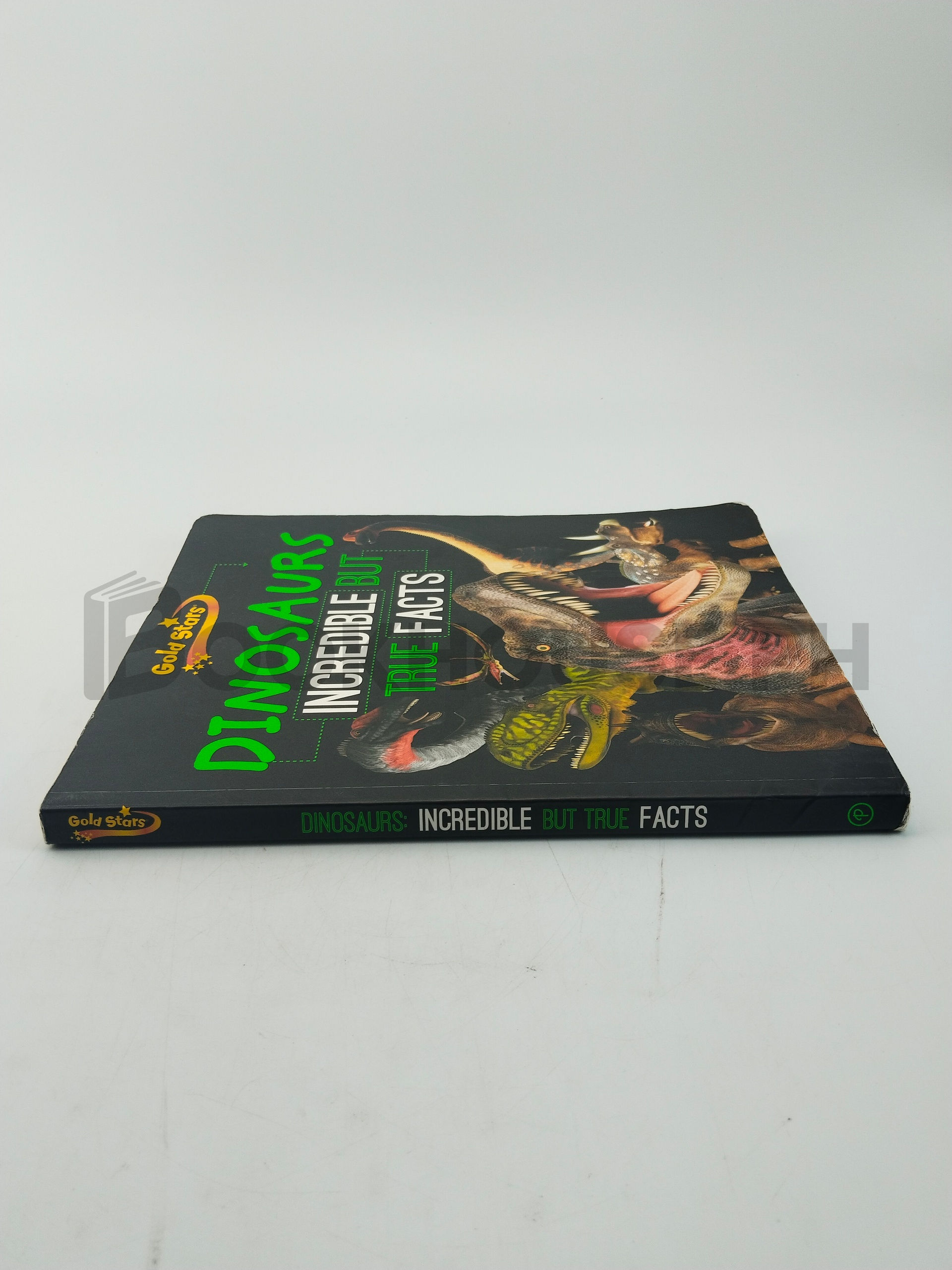 Dinosaurs by Robyn Newton, Nicola Barber, Elena Horas - Image 3