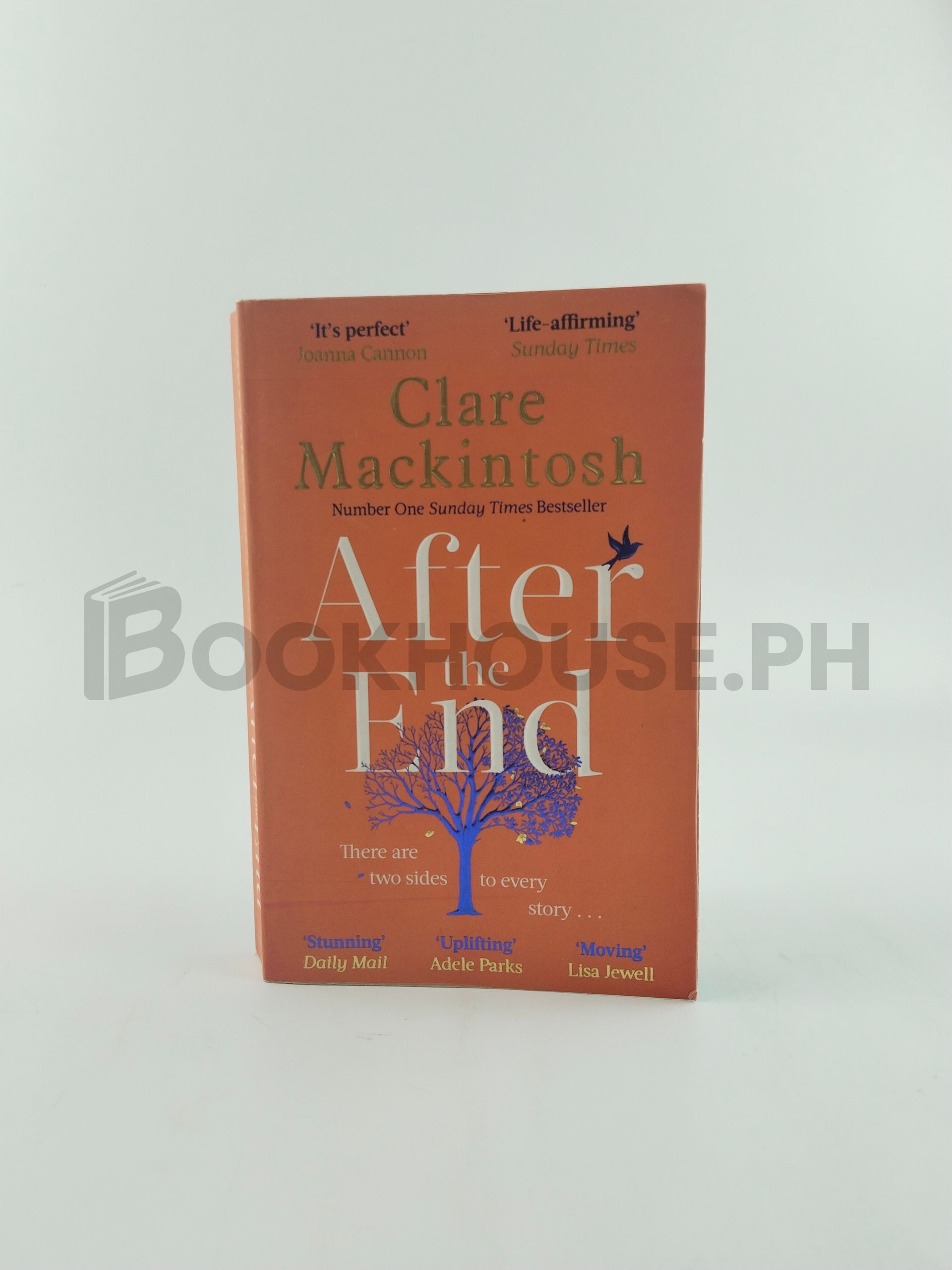 After The End by Clare Mackintosh