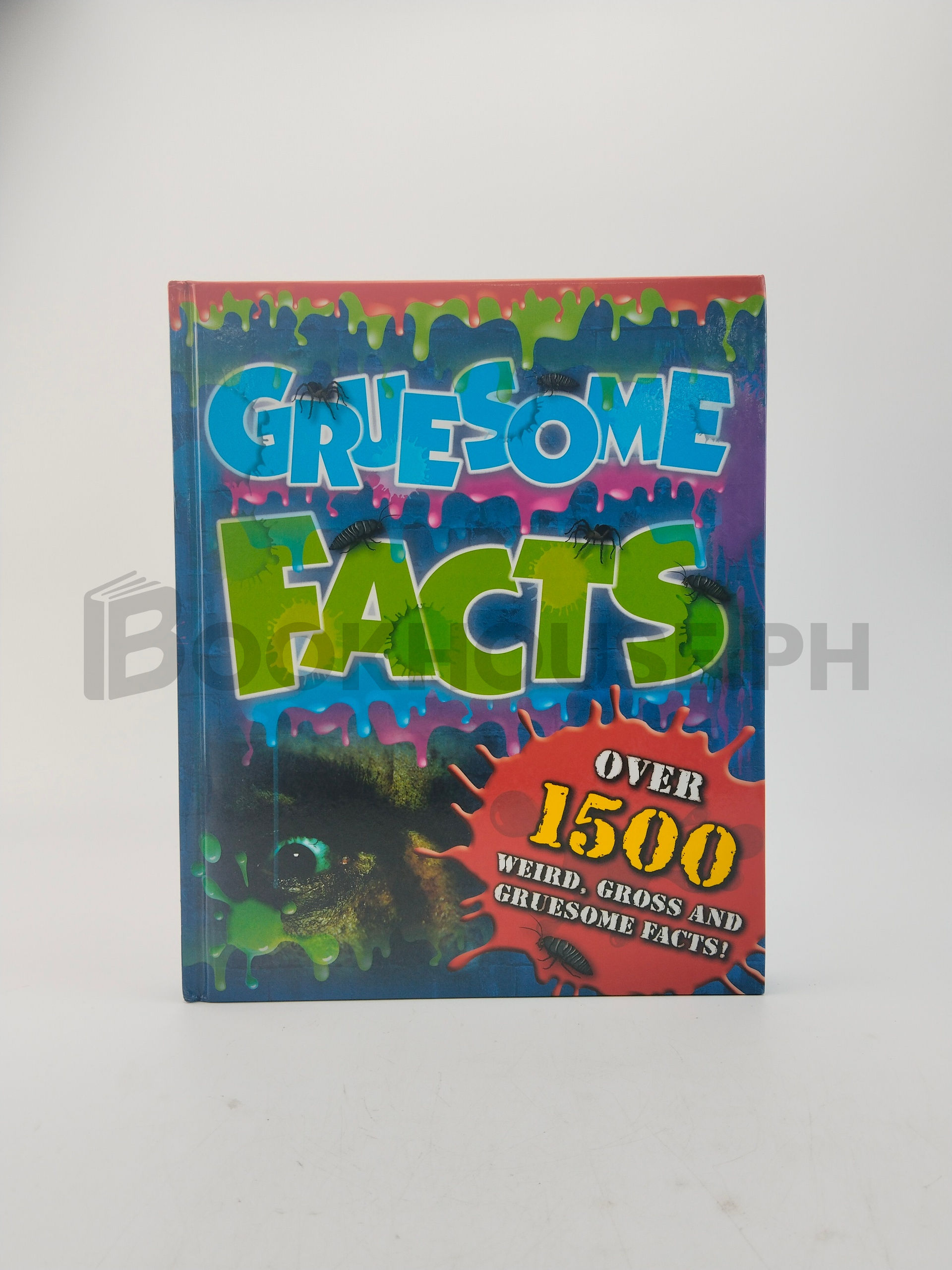 Gruesome Facts by Igloo Books