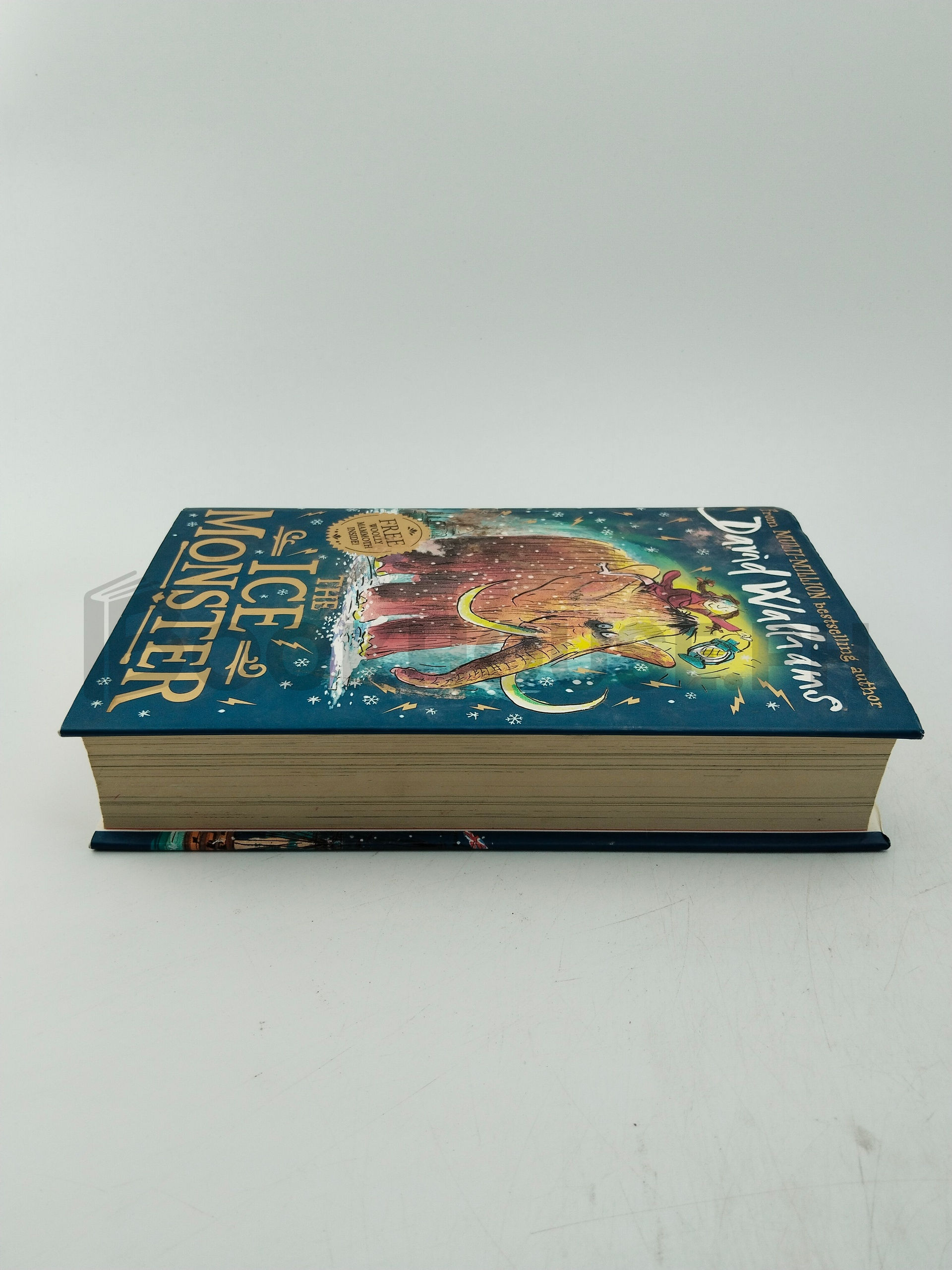 The Ice Monster by David Walliams - Image 4