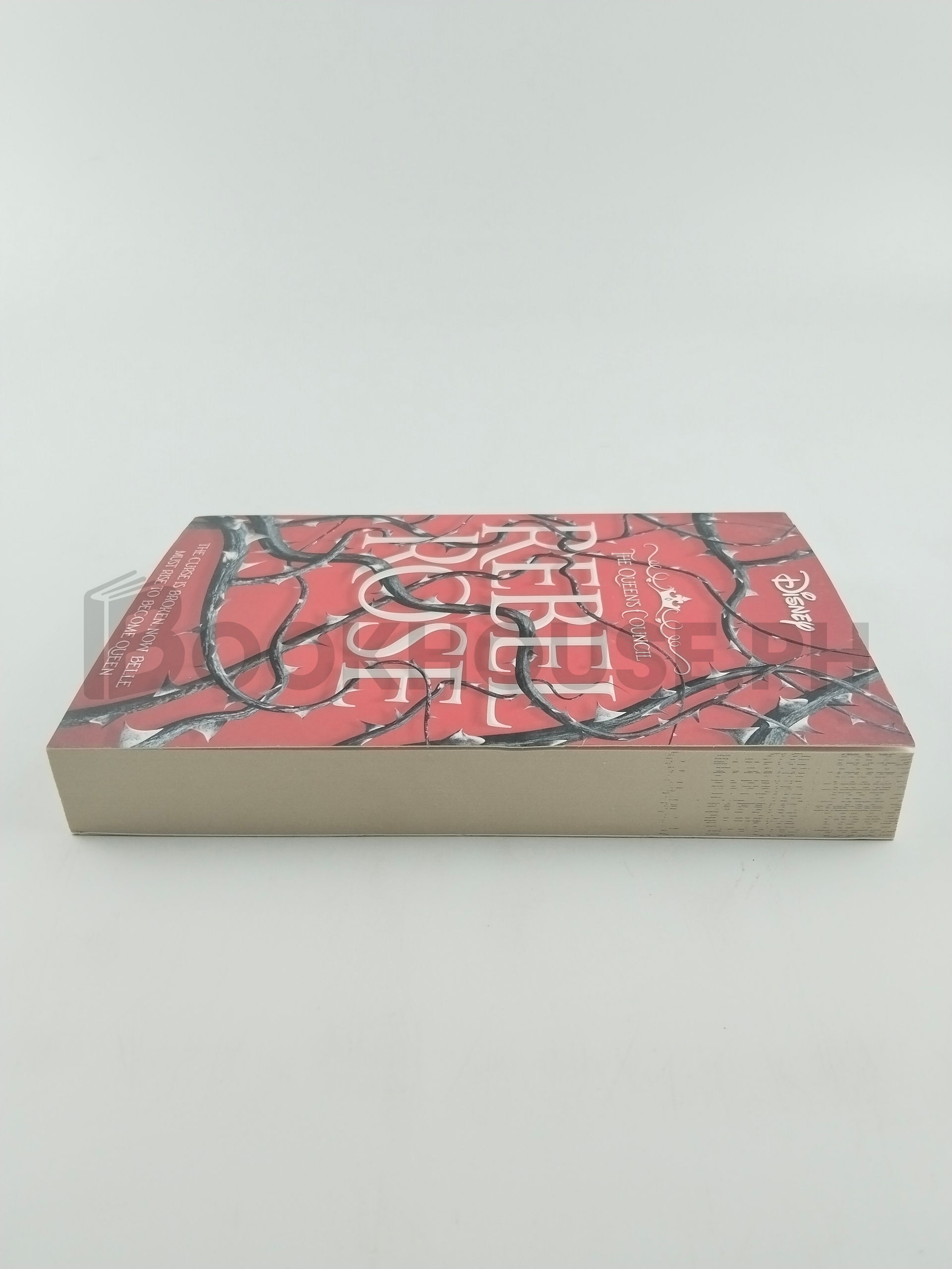 Disney Princess Beauty And The Beast: Rebel Rose by Emma Theriault, Igloo Books - Image 4