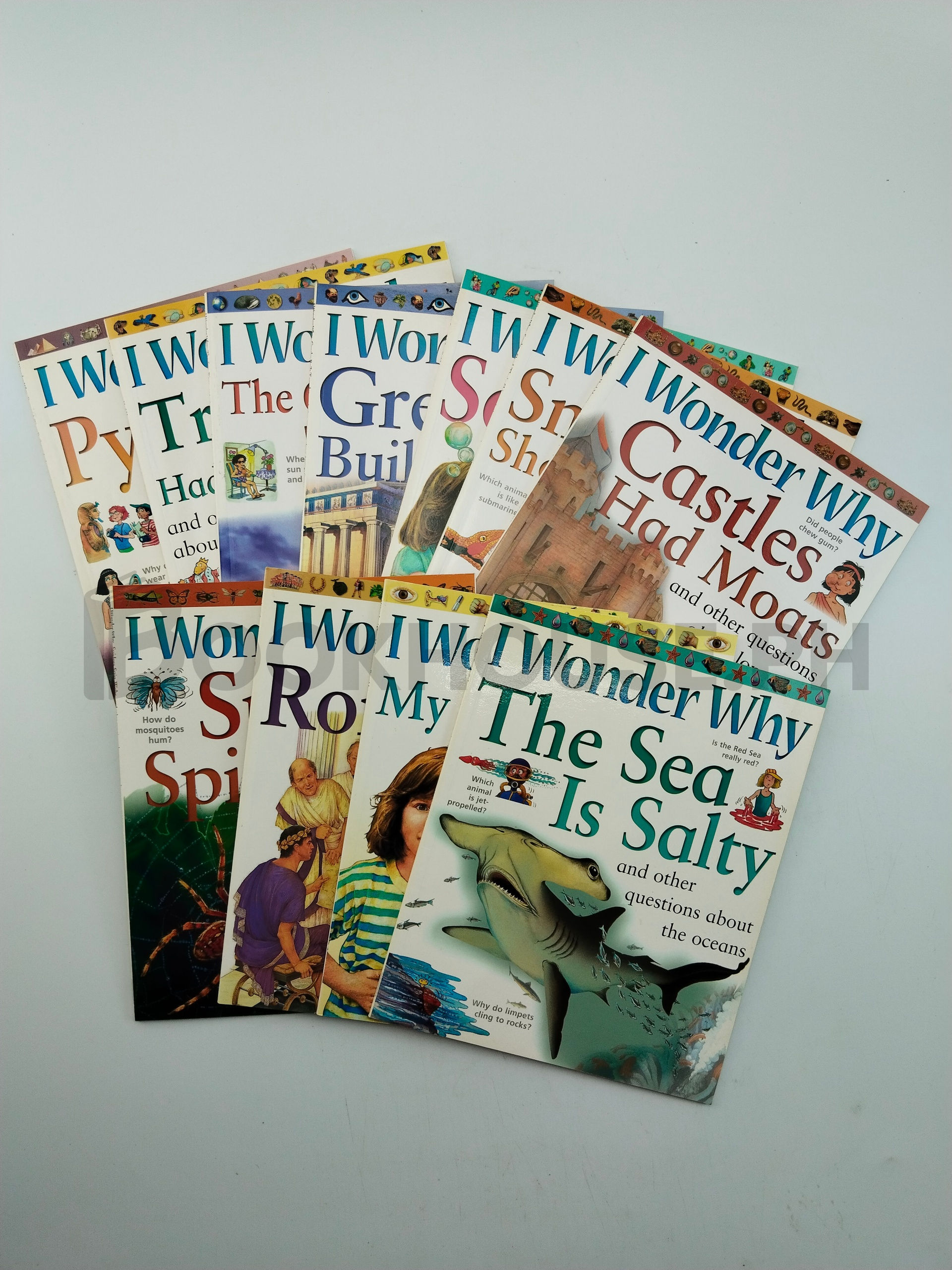 I Wonder Why by Kingfisher - Image 5