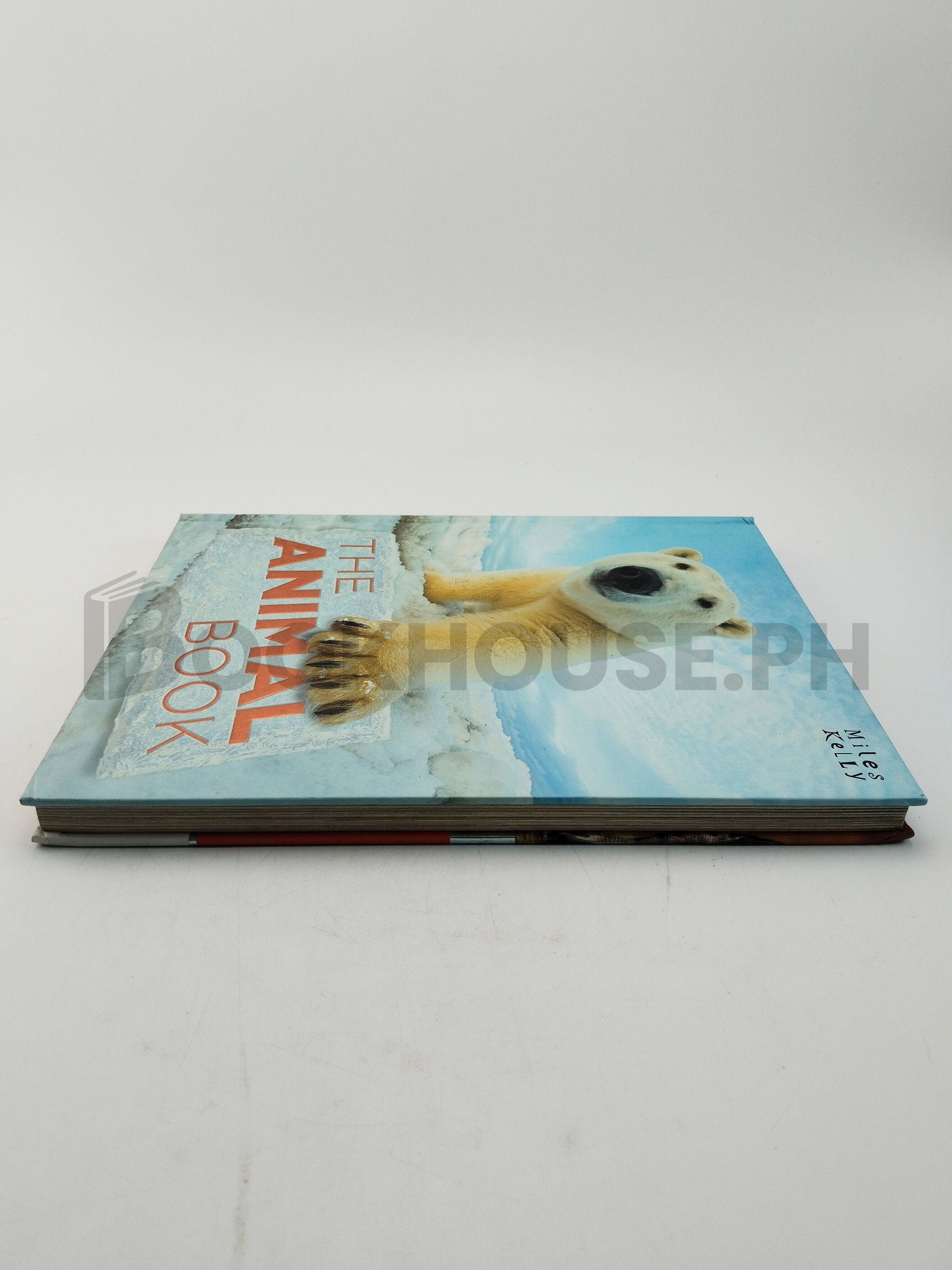 The Animal Book by Camilla De La Bédoyère, Steve Parker, John Farndon - Image 4