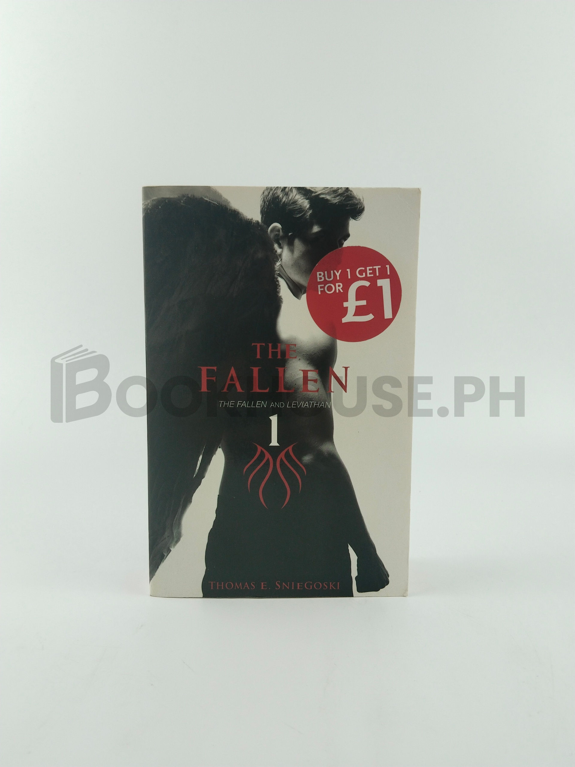 The Fallen And Leviathan by Tom Sniegoski