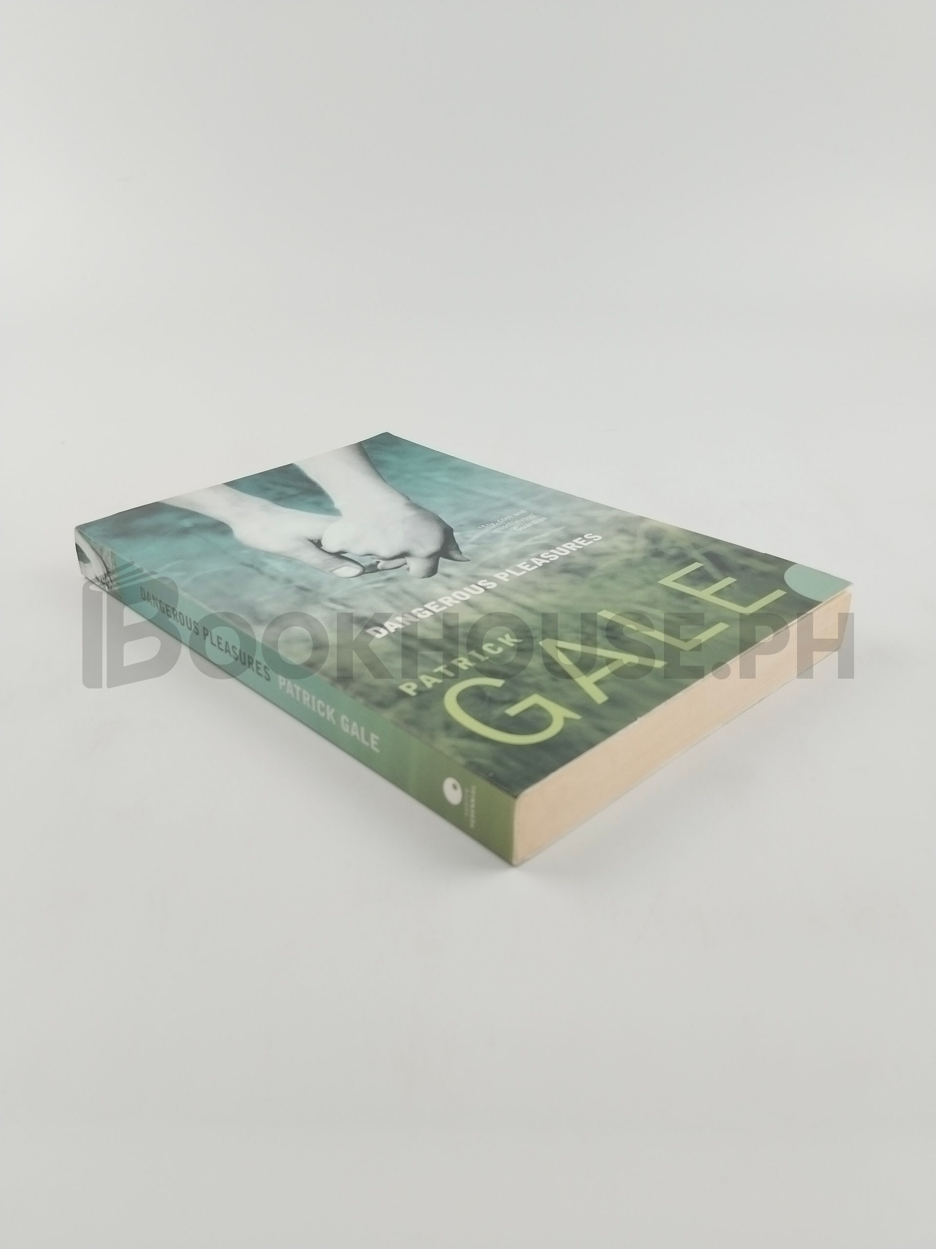 Dangerous Pleasures by Patrick Gale - Image 2