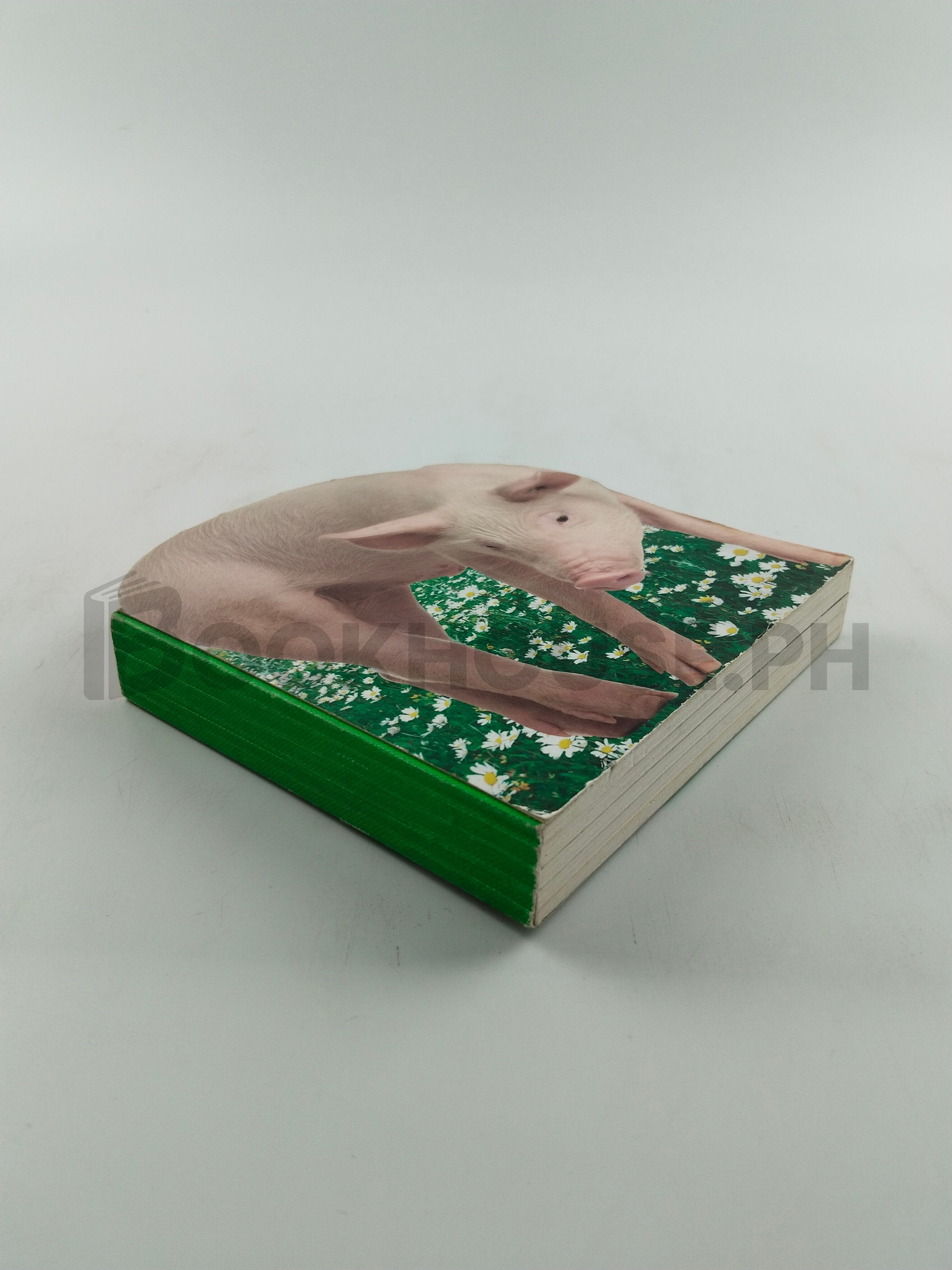 Piglet by Stephen James - Image 2