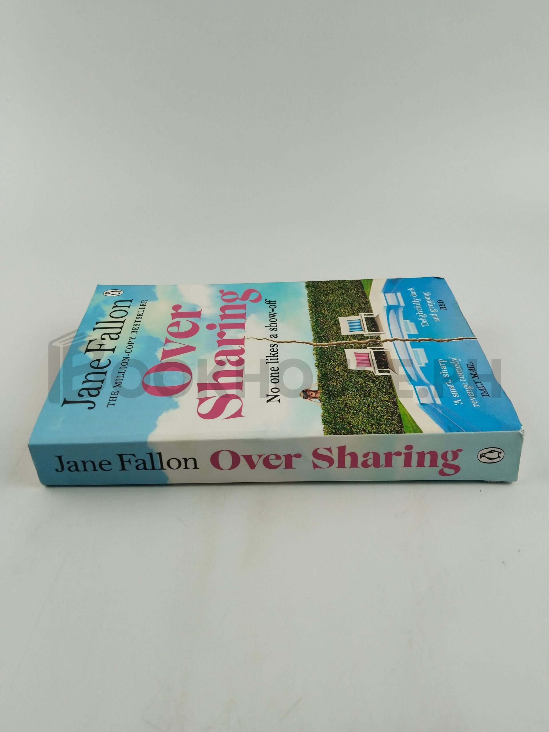 Over Sharing by Jane Fallon - Image 3