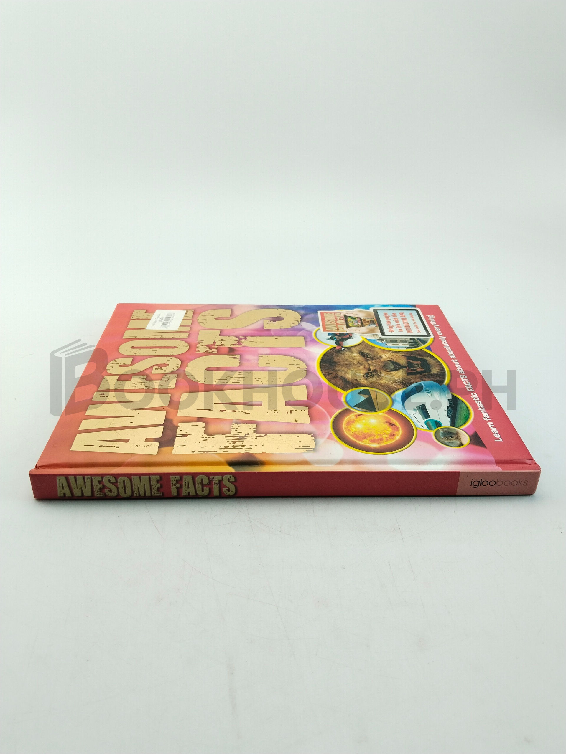 Awesome Facts by Igloobooks - Image 3