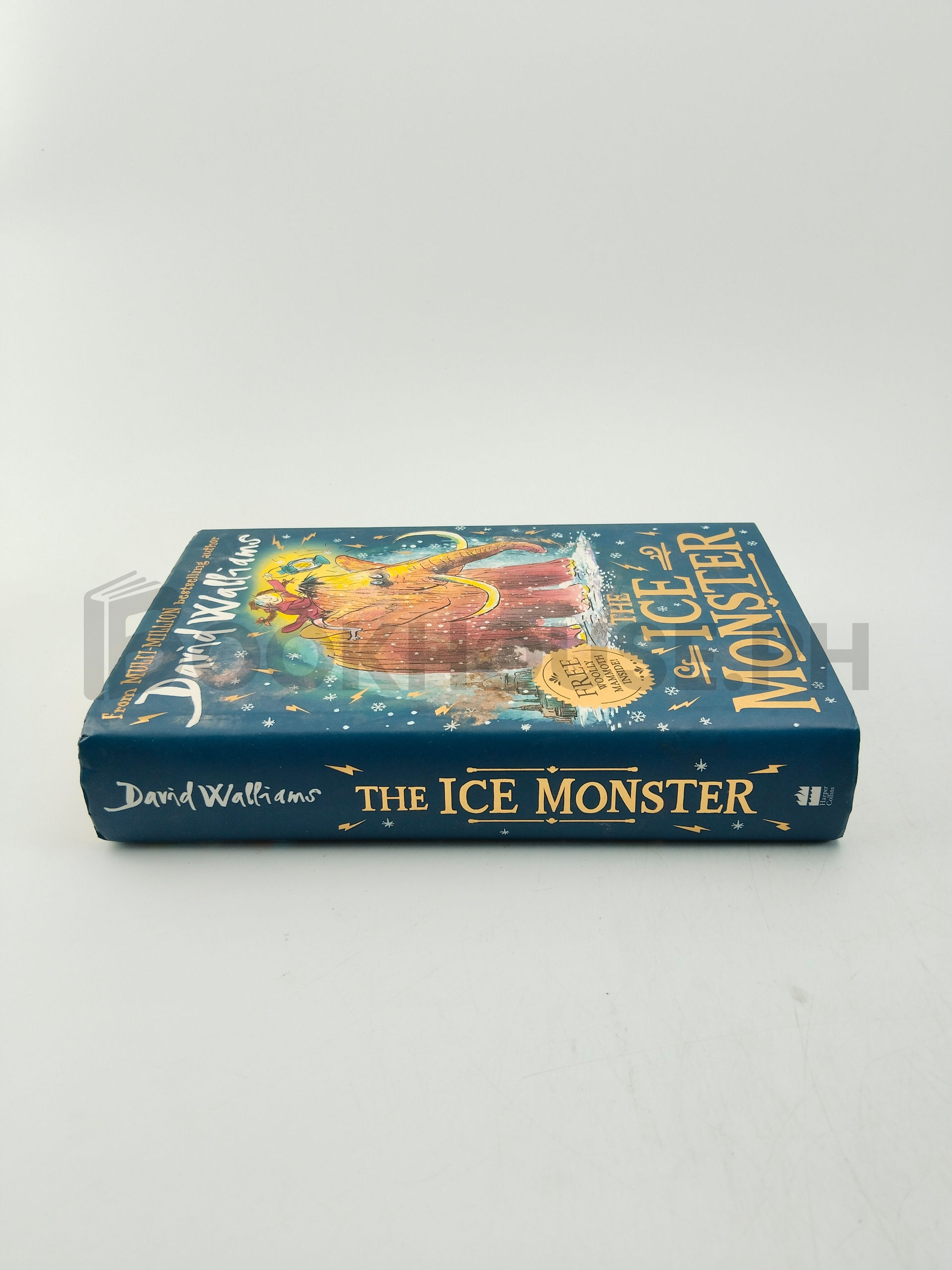 The Ice Monster by David Walliams - Image 3