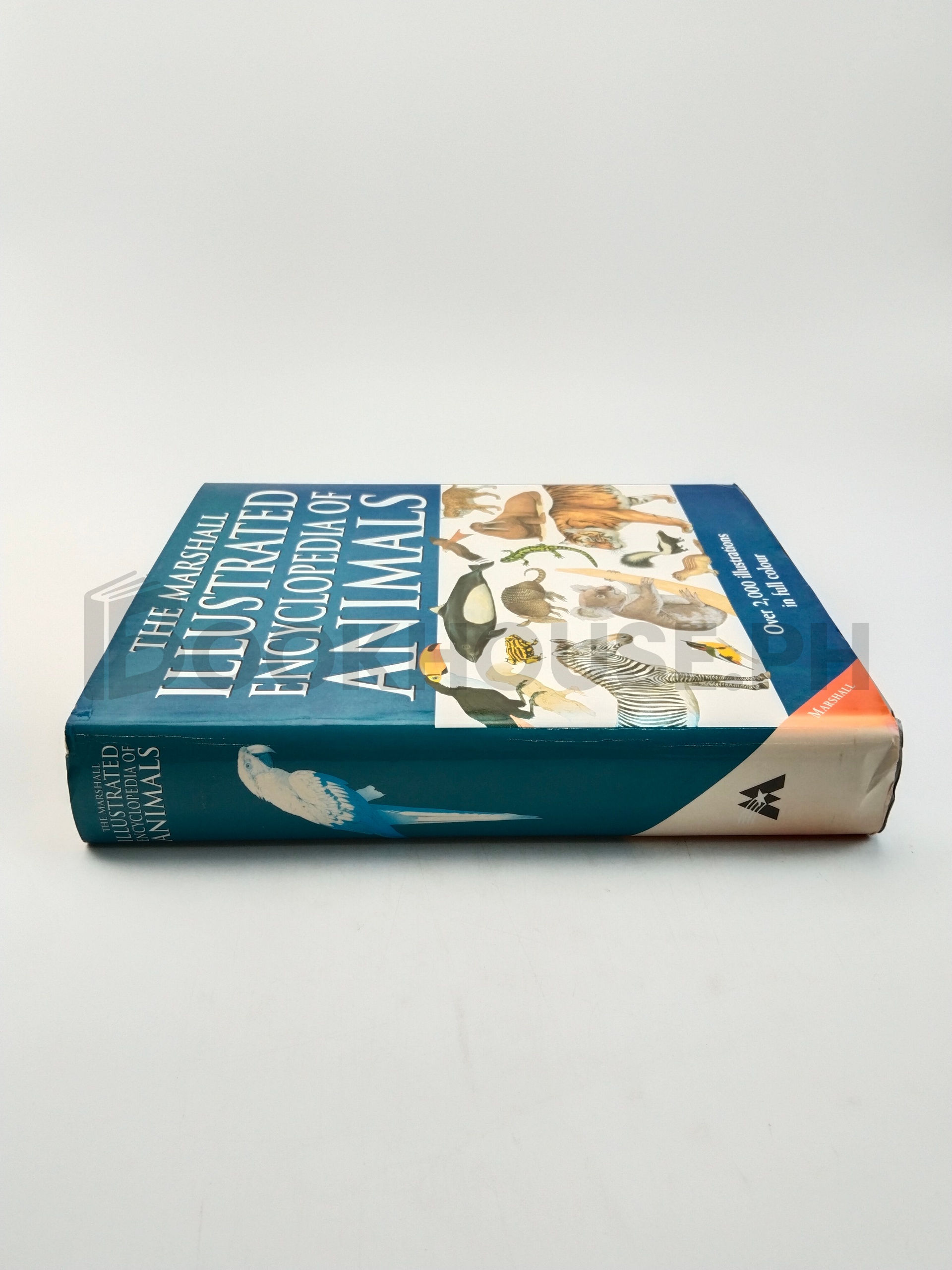 The Marshall Illustrated Encyclopedia Of Animals by Philip Whitfield - Image 3