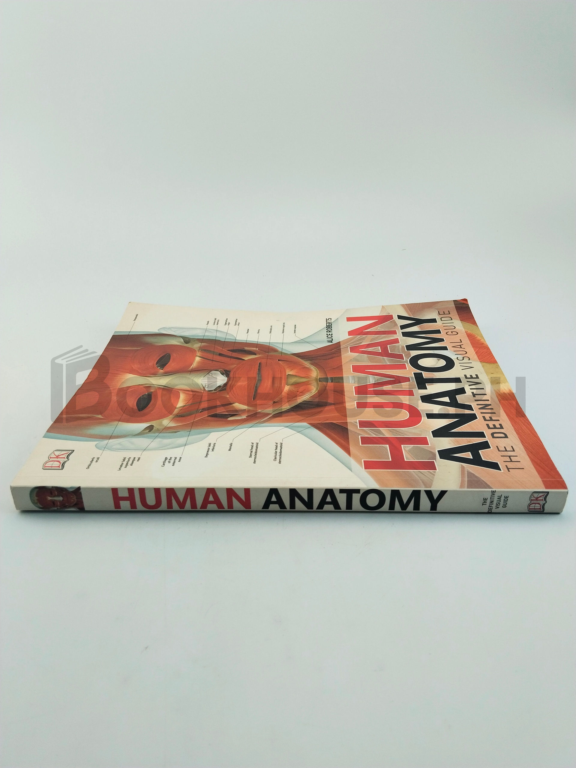 Human Anatomy by Alice Roberts - Image 3