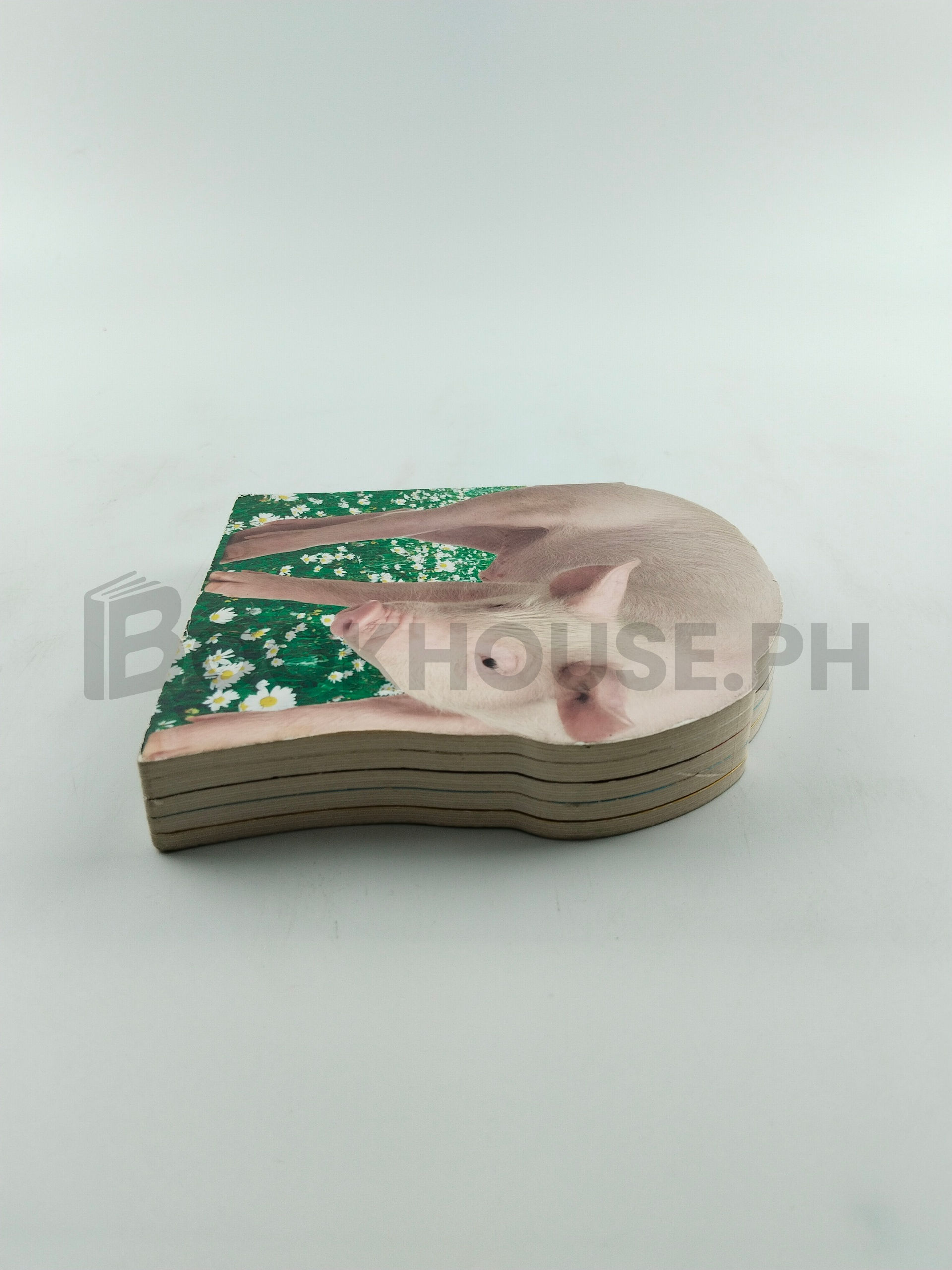 Piglet by Stephen James - Image 4