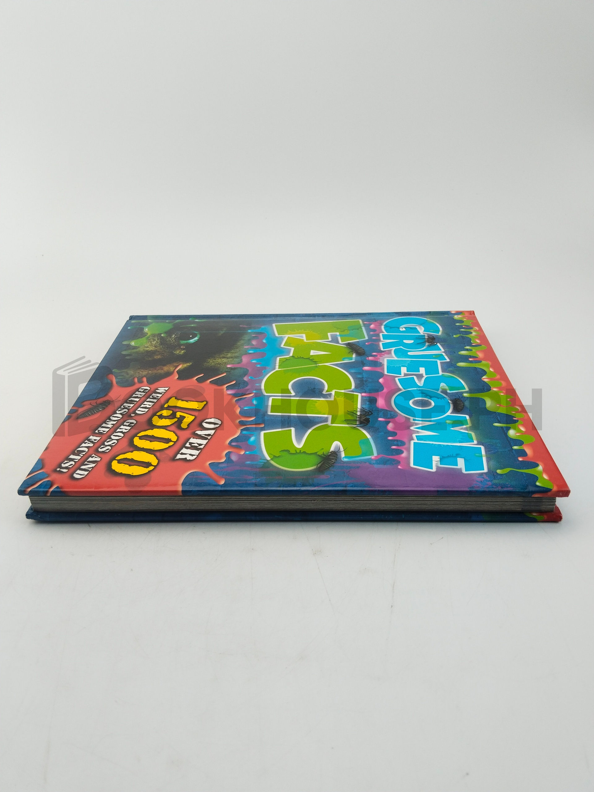 Gruesome Facts by Igloo Books - Image 4