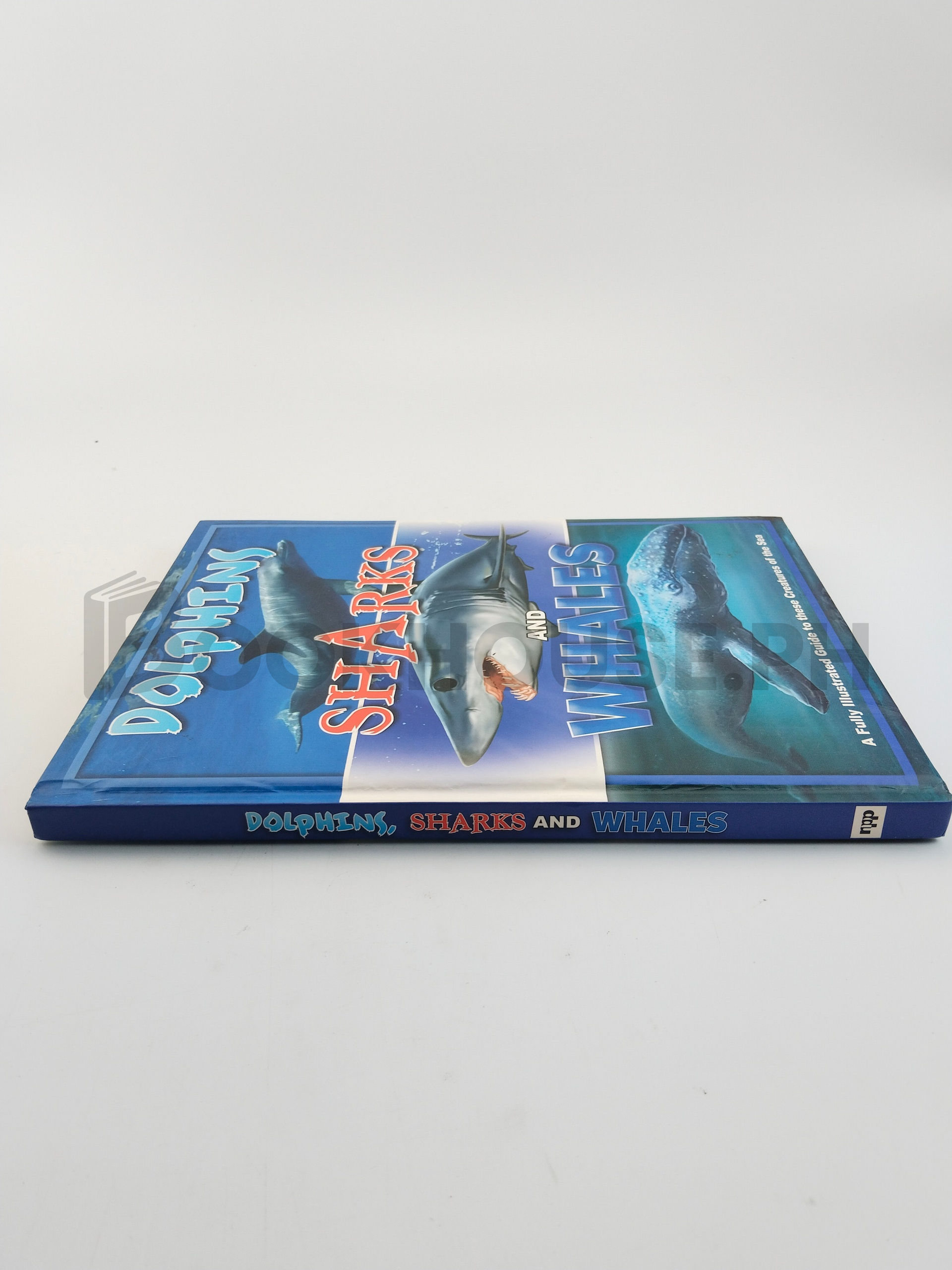 Encyclopedia Of Dolphins, Sharks And Whales by North Parade Publishing - Image 3