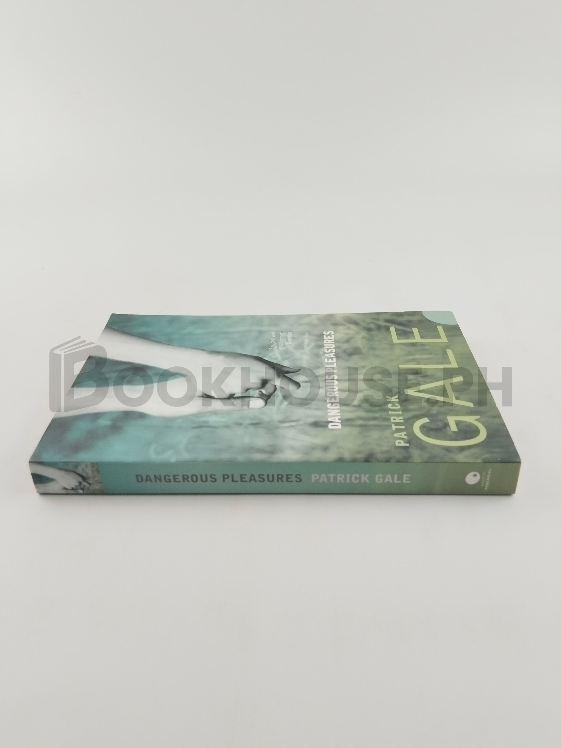 Dangerous Pleasures by Patrick Gale - Image 3