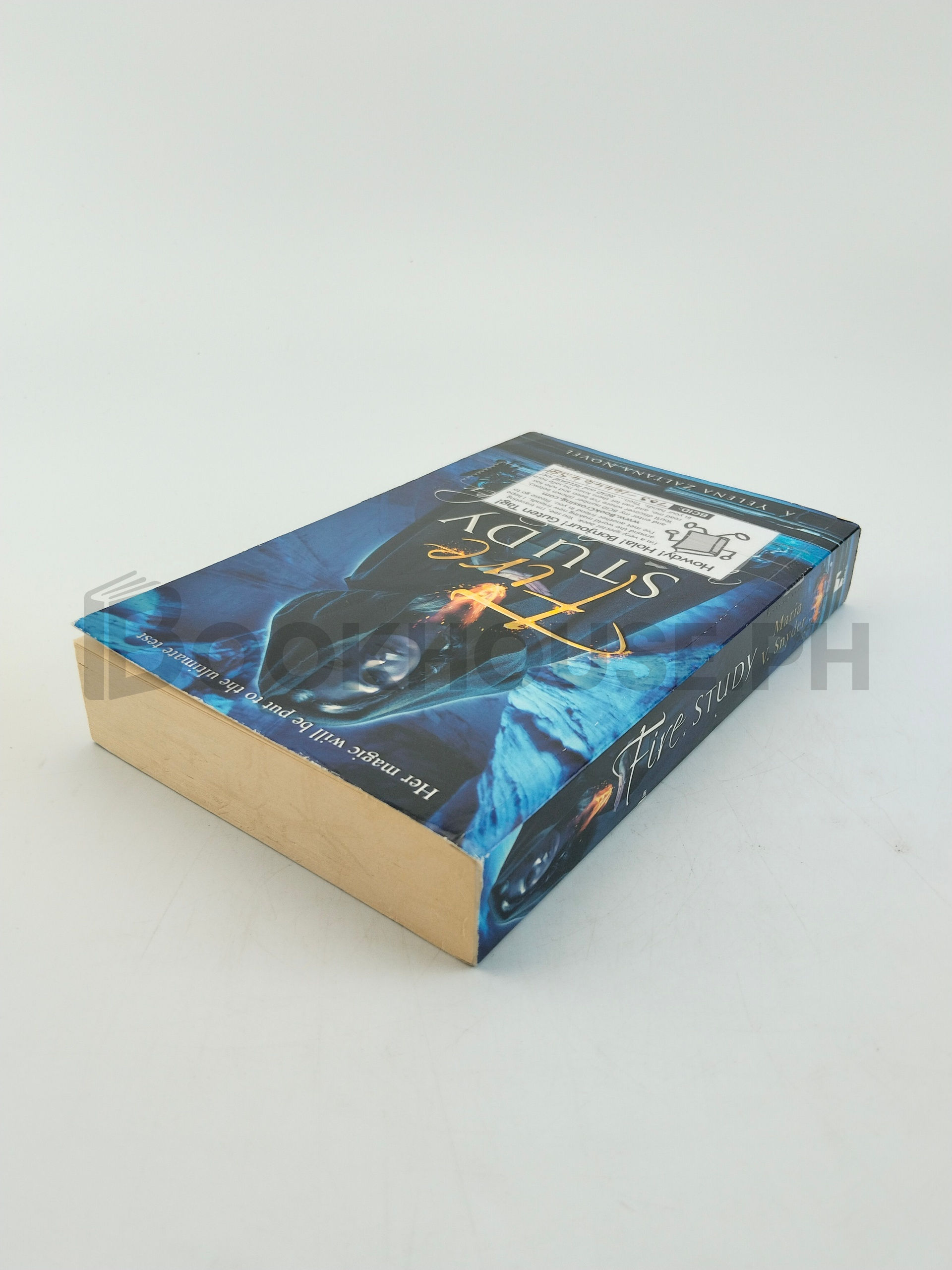 Fire Study by Maria V. Snyder - Image 2