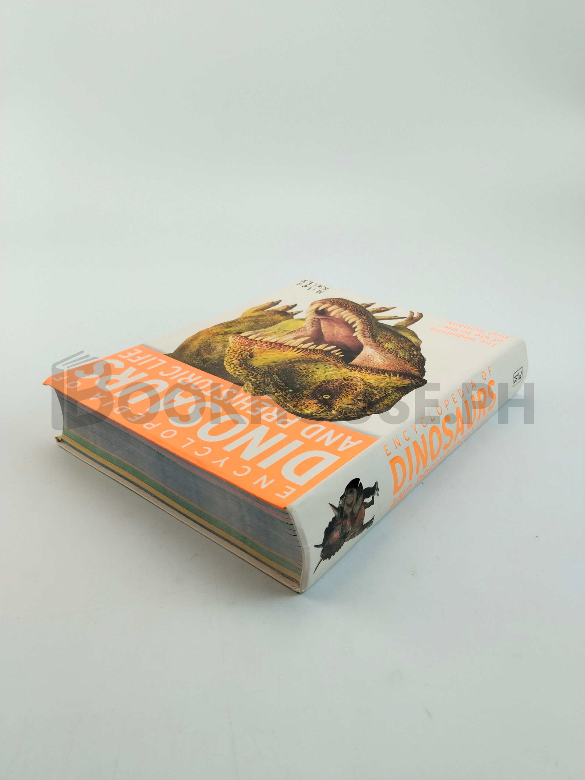 Dinosaurs And Prehistoric Life by Miles Kelly - Image 2