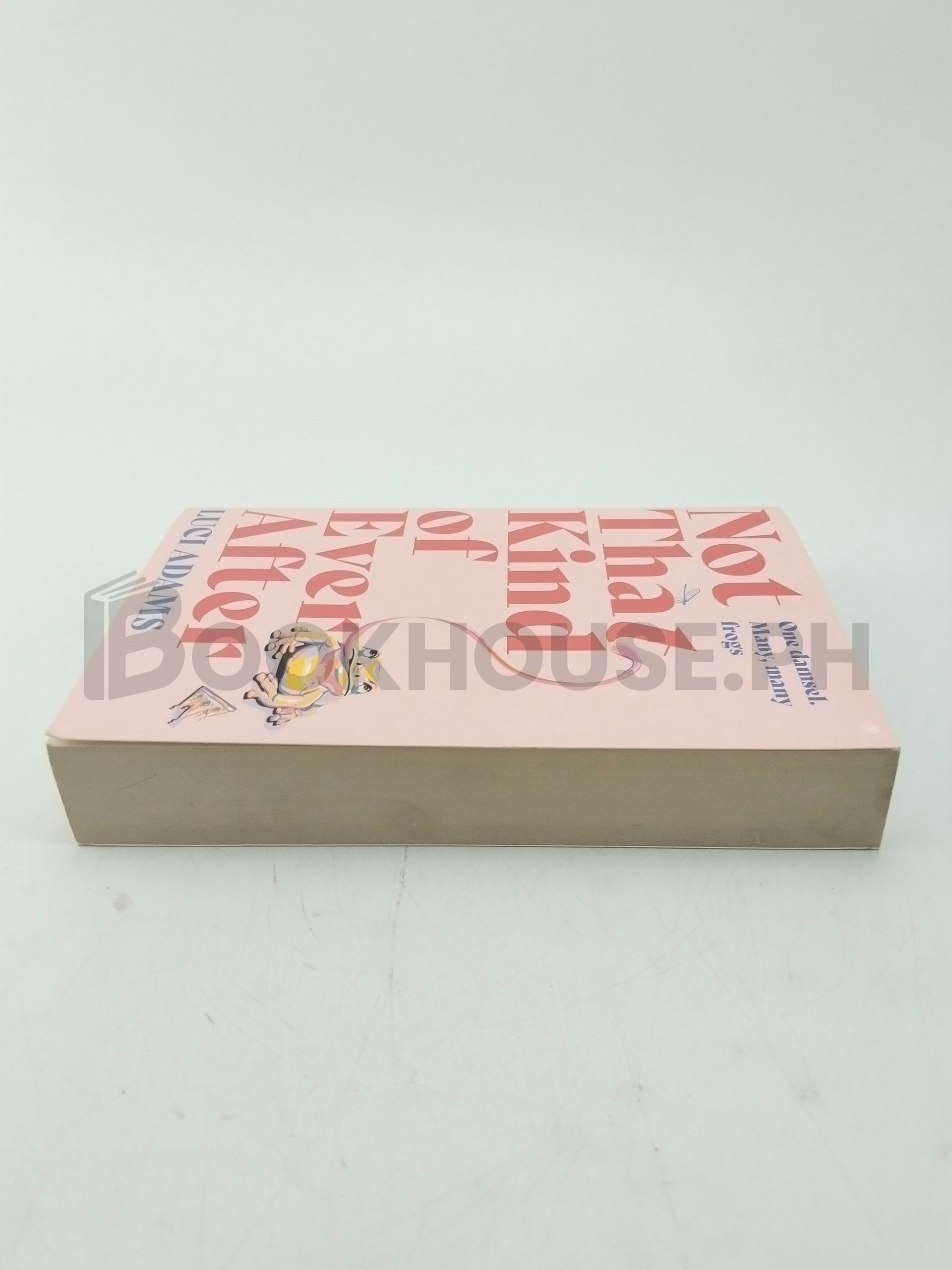 Not That Kind Of Ever After by Luci Adams - Image 4