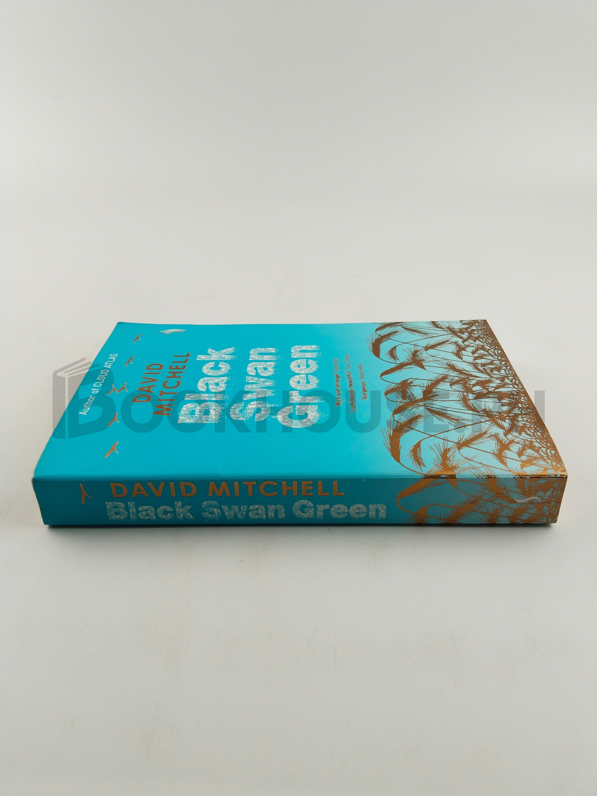 Black Swan Green by David Mitchell - Image 3