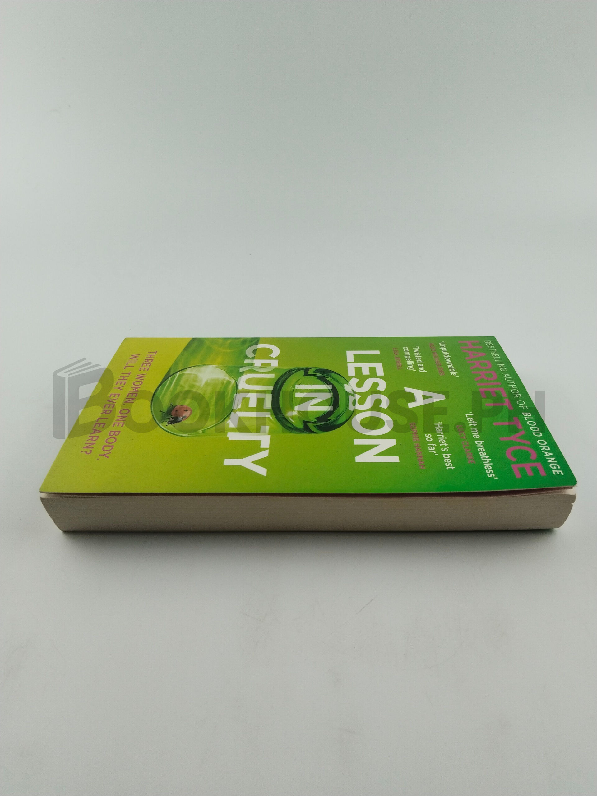 A Lesson In Cruelty by Harriet Tyce - Image 4