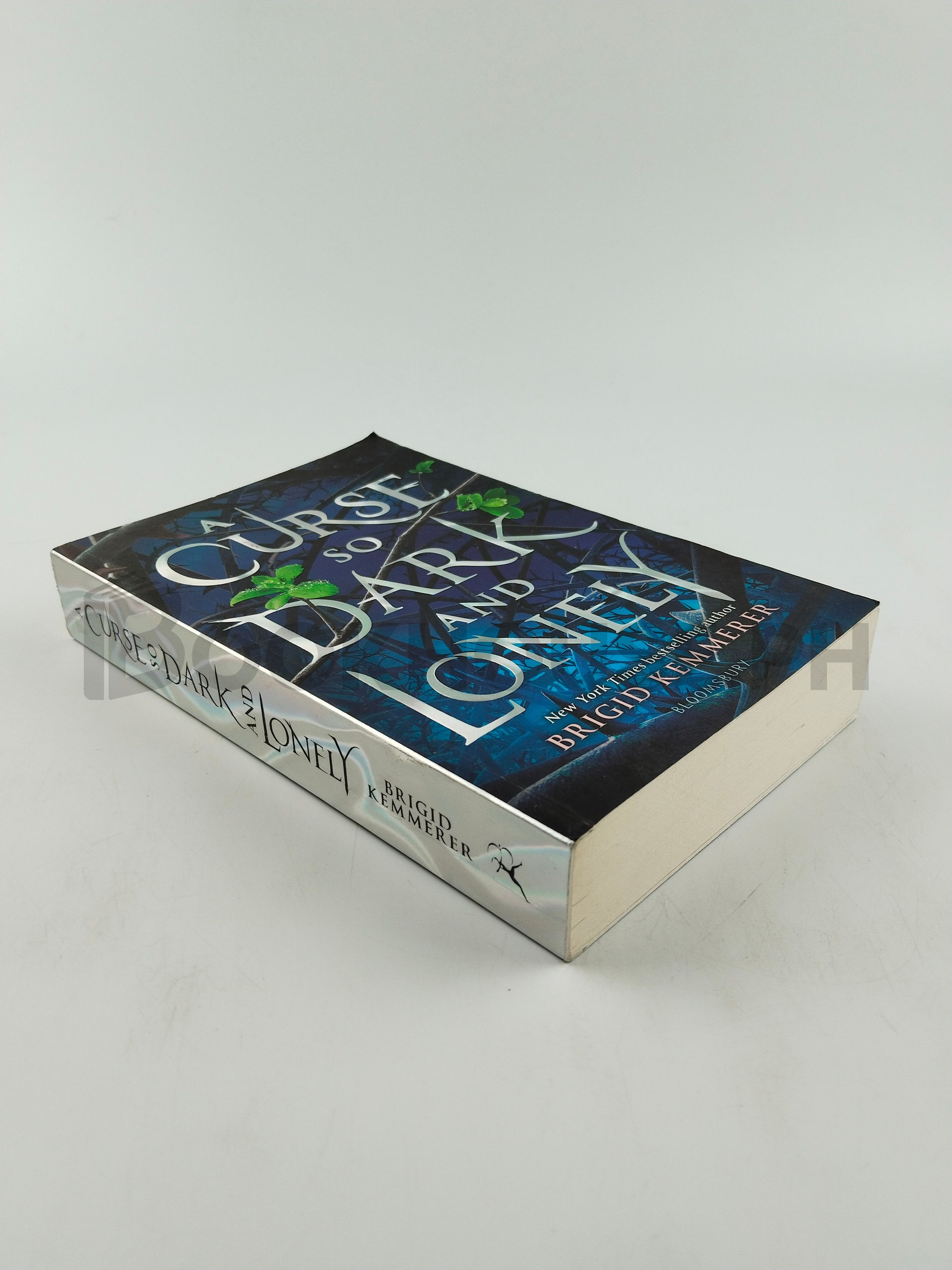 A Curse So Dark And Lonely by Brigid Kemmerer - Image 2