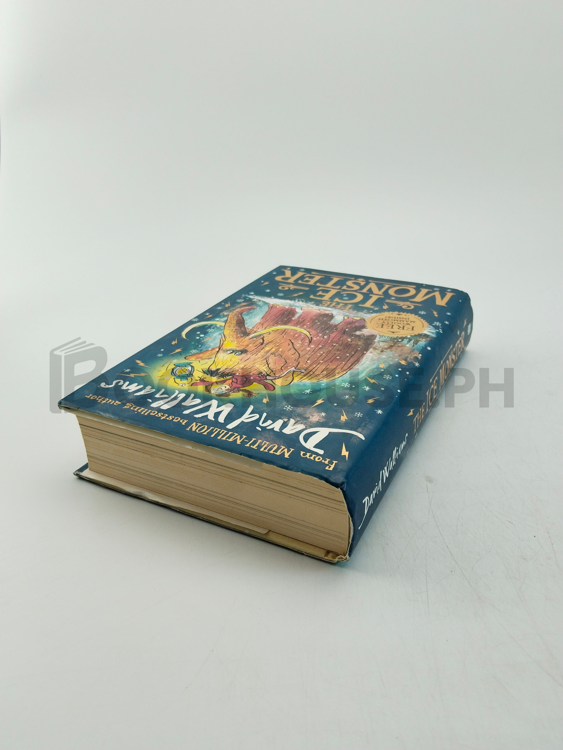 The Ice Monster by David Walliams - Image 2