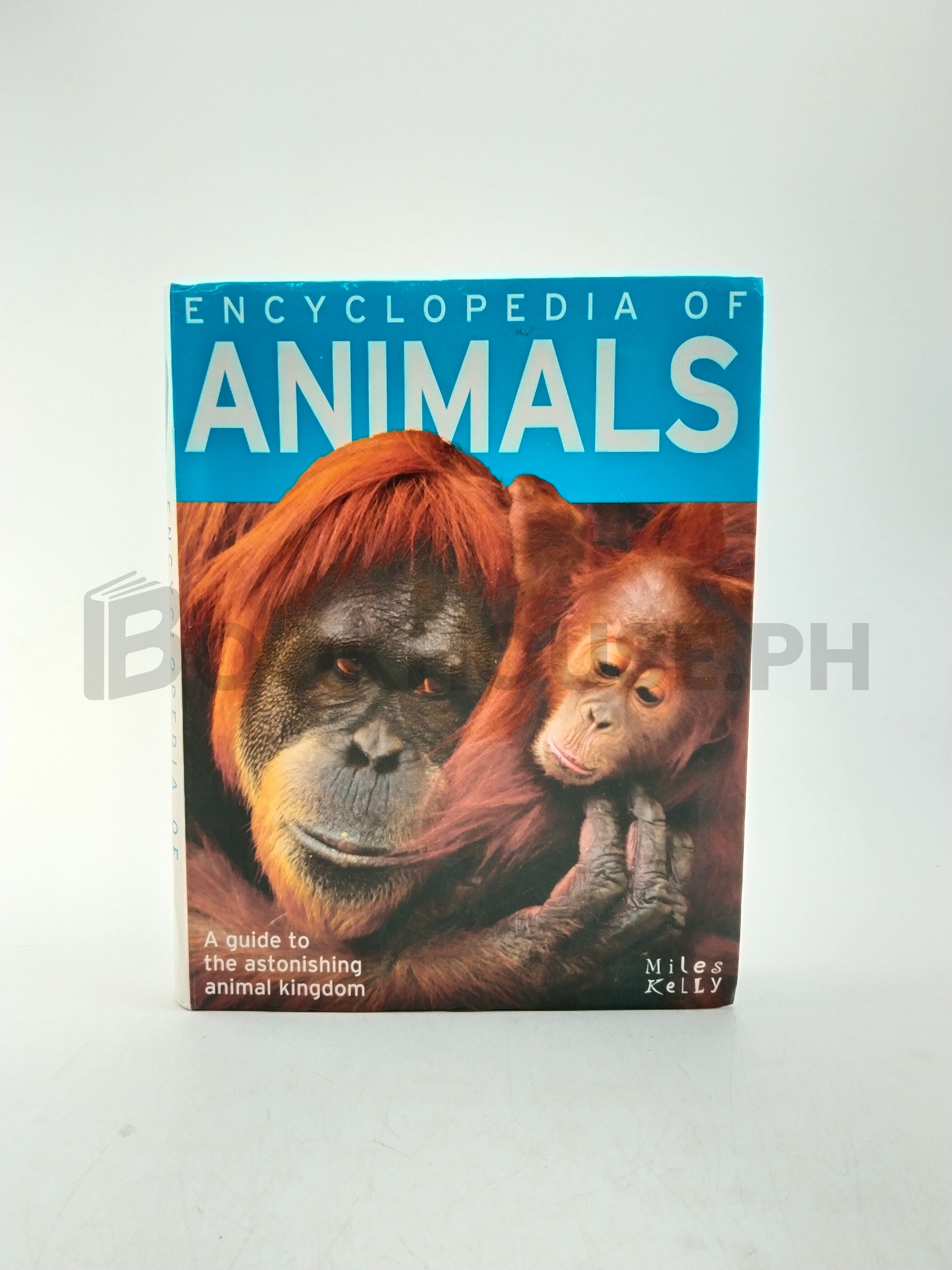 Encyclopedia Of Animals by Camilla De La Bédoyère