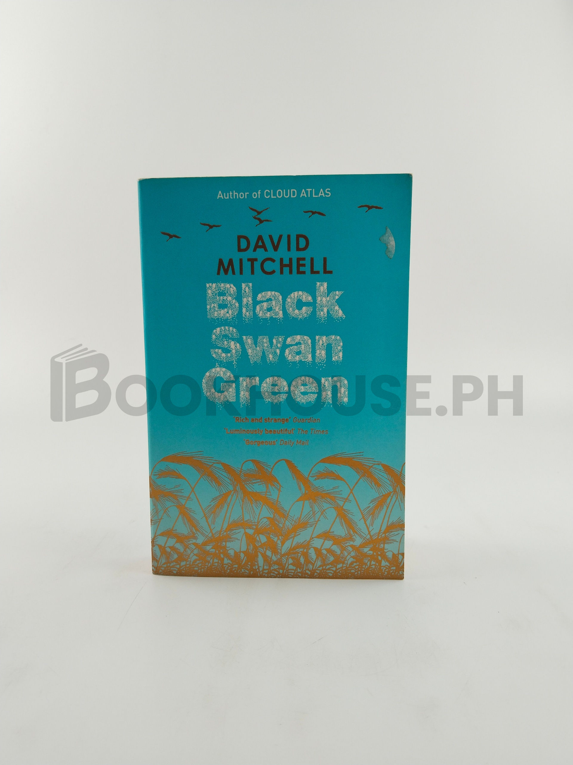 Black Swan Green by David Mitchell