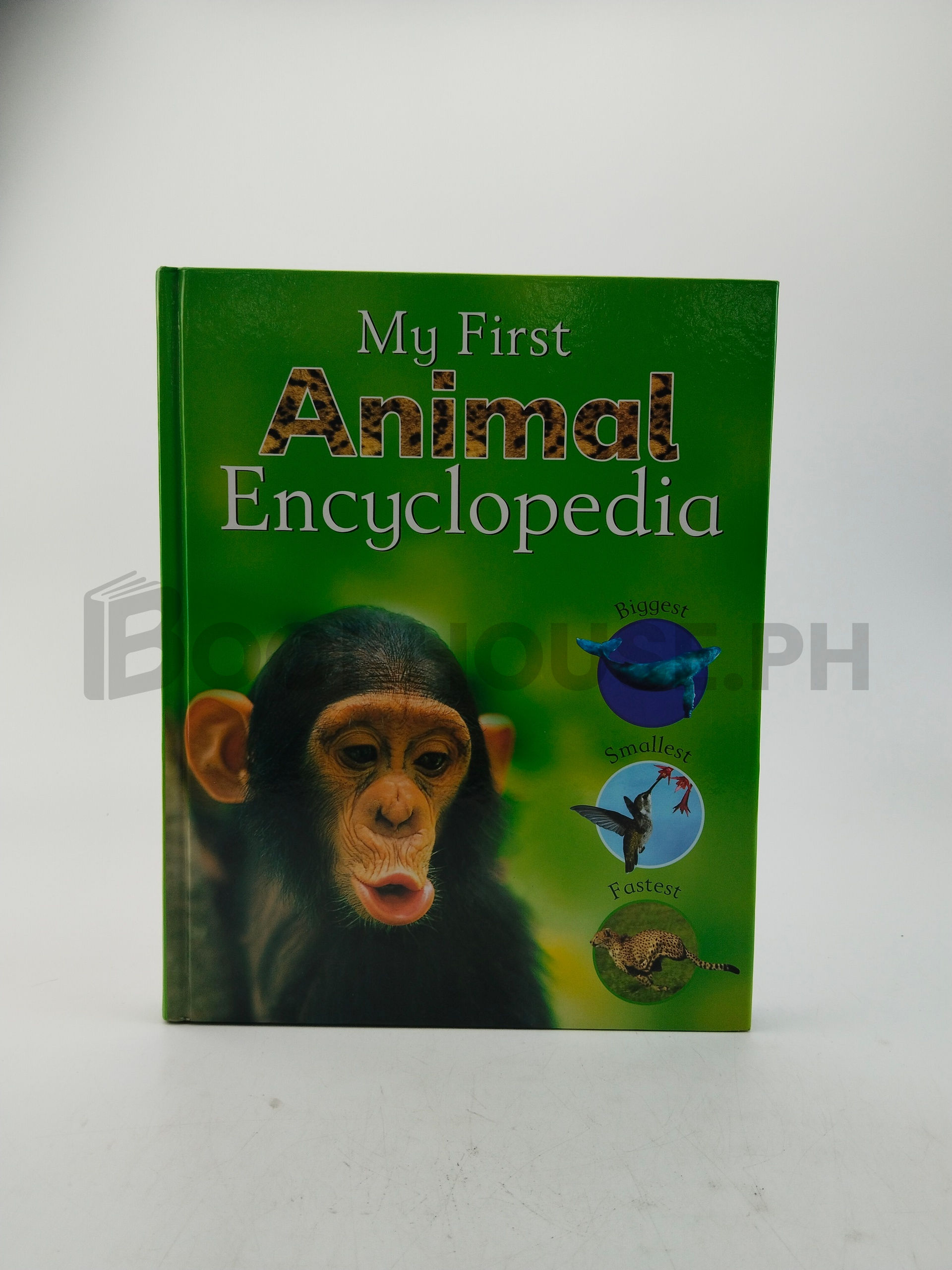 My First Animal Encyclopedia by Parragon Book Service Limited, Sally Morgan