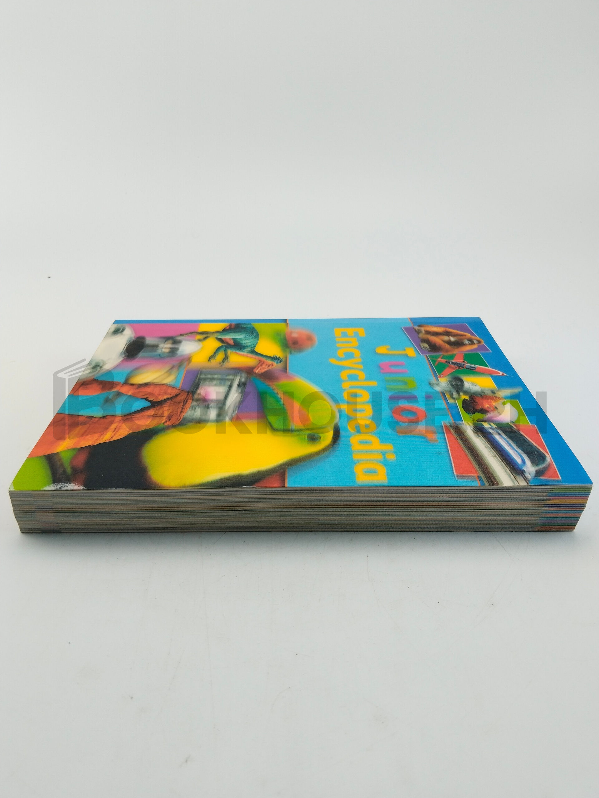 Junior Encyclopedia by Belinda Gallagher - Image 4