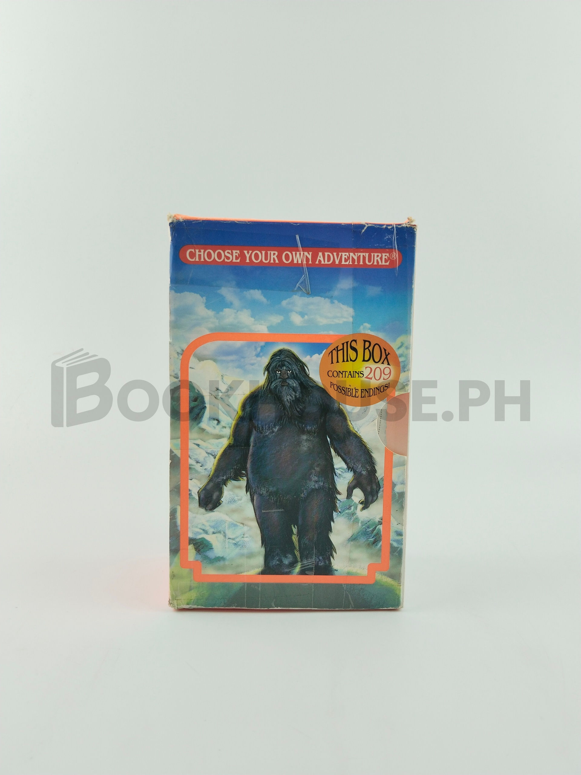 Choose Your Own Adventure by R.a Montgomery